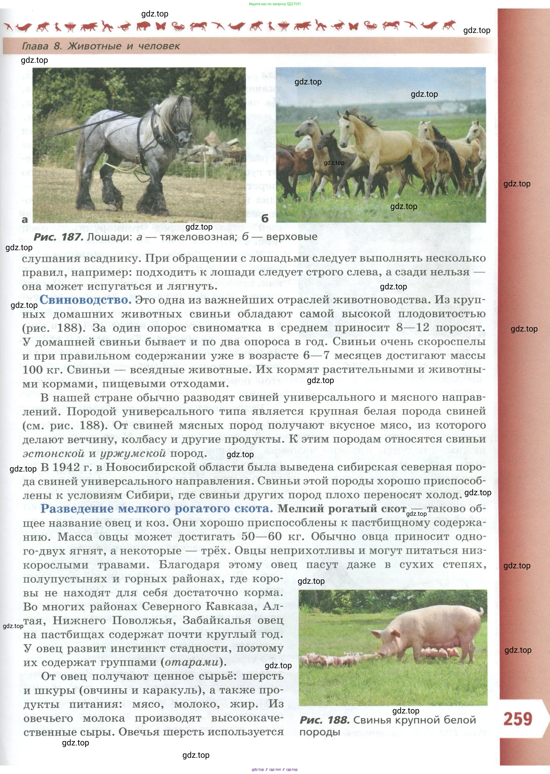 Биология, 8 класс Учебник, авторы: Пасечник Владимир Васильевич, Суматохин Сергей Витальевич, Гапонюк Зоя Георгиевна, издательство Просвещение, Москва, 2023, белого цвета, страница 259