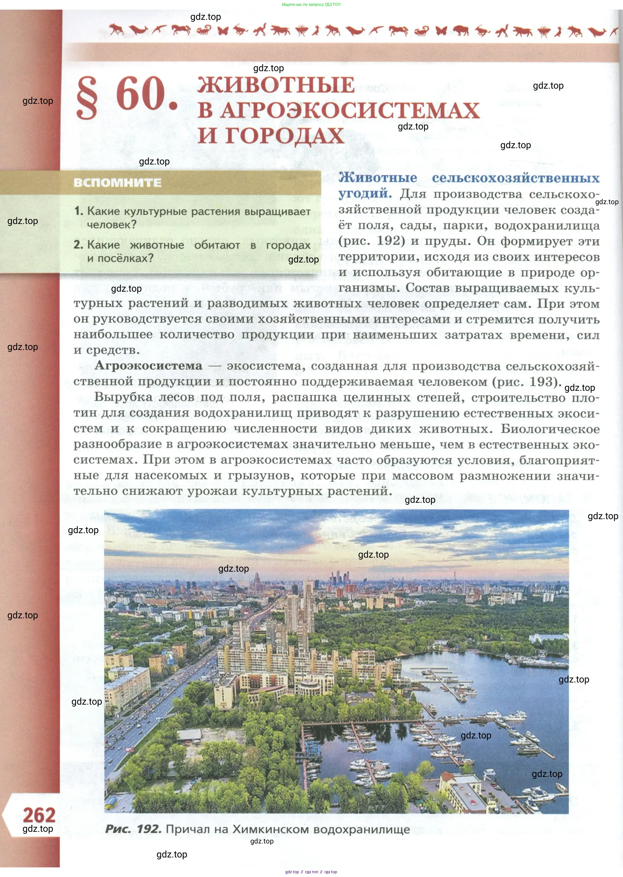 Биология, 8 класс Учебник, авторы: Пасечник Владимир Васильевич, Суматохин Сергей Витальевич, Гапонюк Зоя Георгиевна, издательство Просвещение, Москва, 2023, белого цвета, страница 262