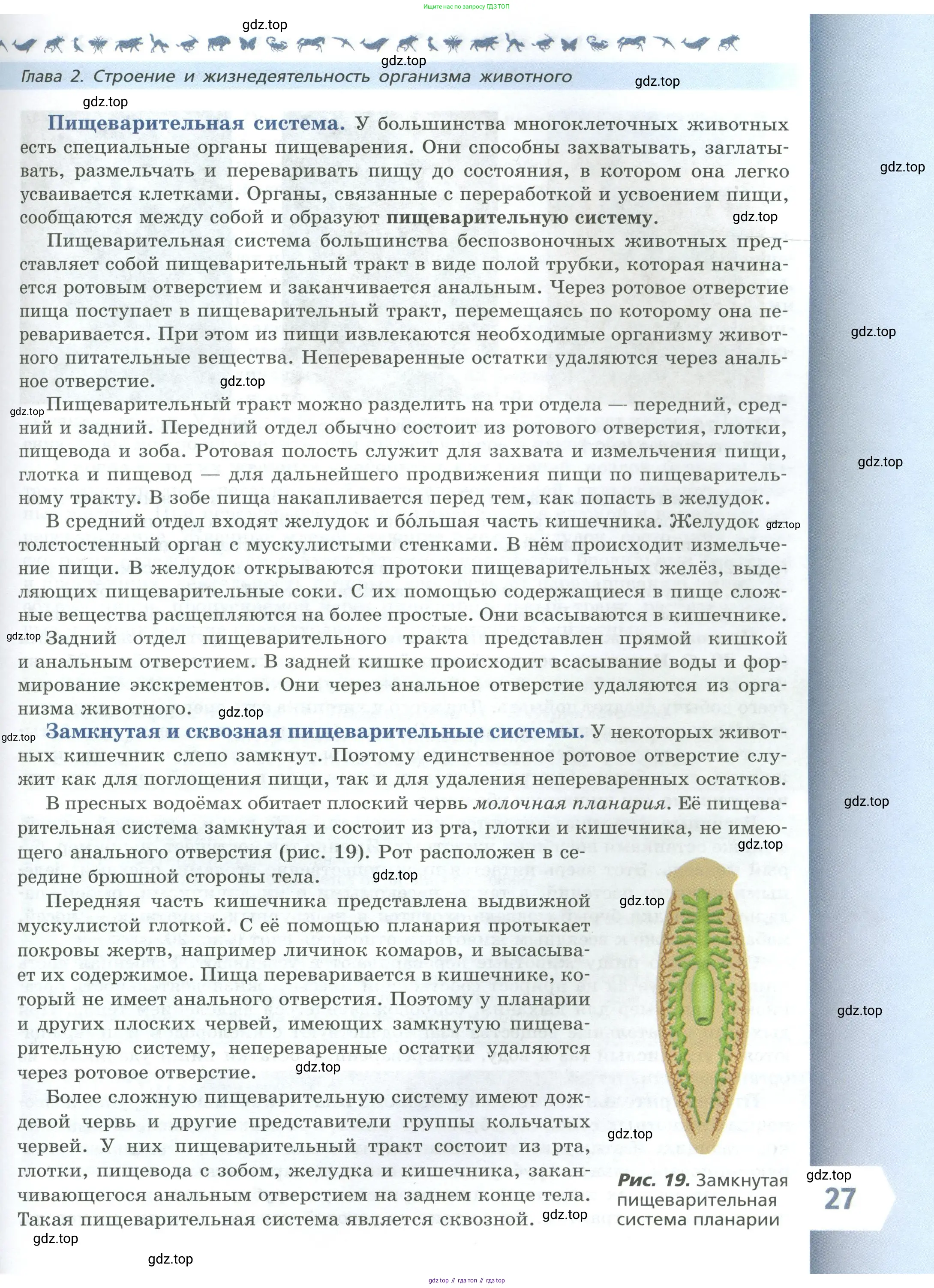 Биология, 8 класс Учебник, авторы: Пасечник Владимир Васильевич, Суматохин Сергей Витальевич, Гапонюк Зоя Георгиевна, издательство Просвещение, Москва, 2023, белого цвета, страница 27