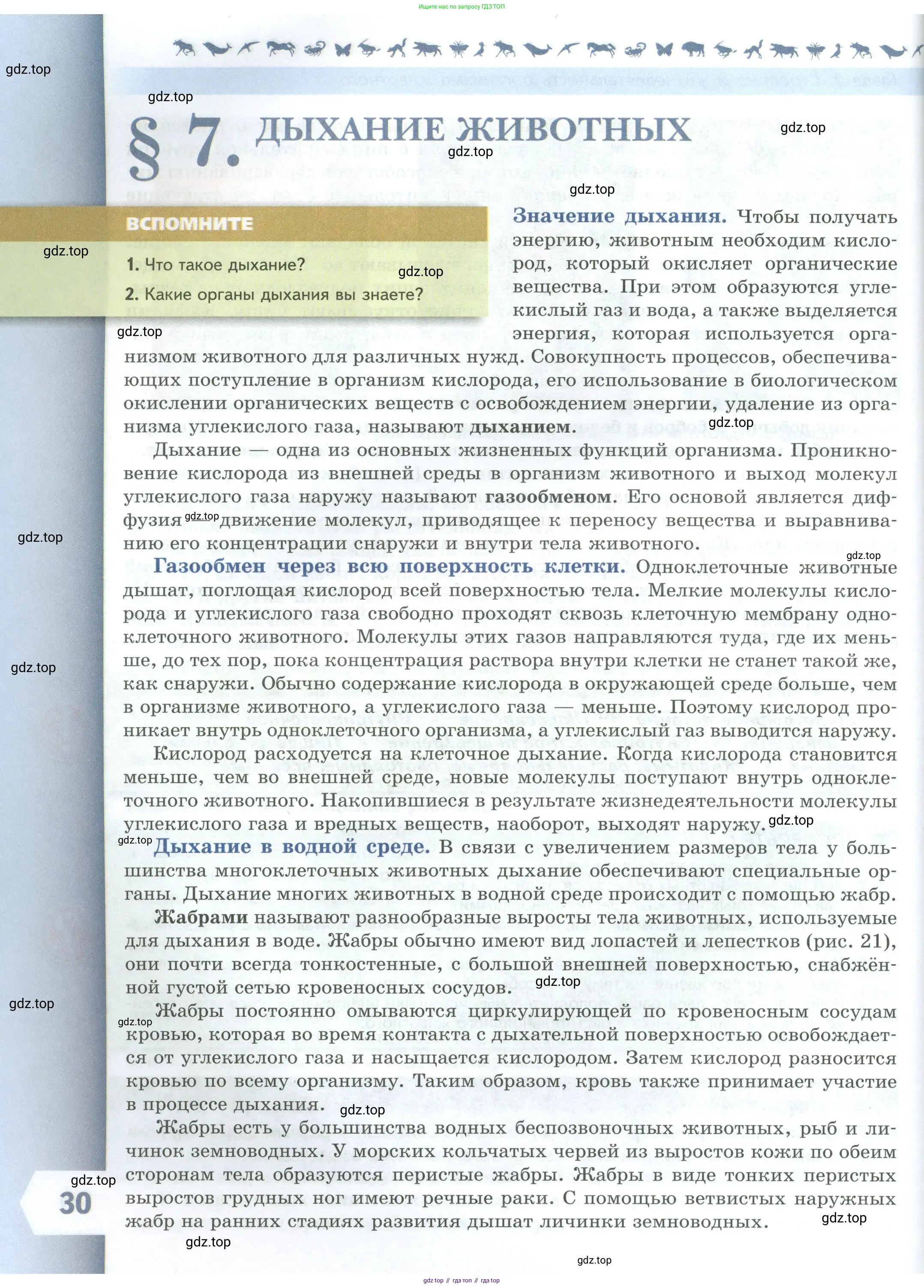 Биология, 8 класс Учебник, авторы: Пасечник Владимир Васильевич, Суматохин Сергей Витальевич, Гапонюк Зоя Георгиевна, издательство Просвещение, Москва, 2023, белого цвета, страница 30
