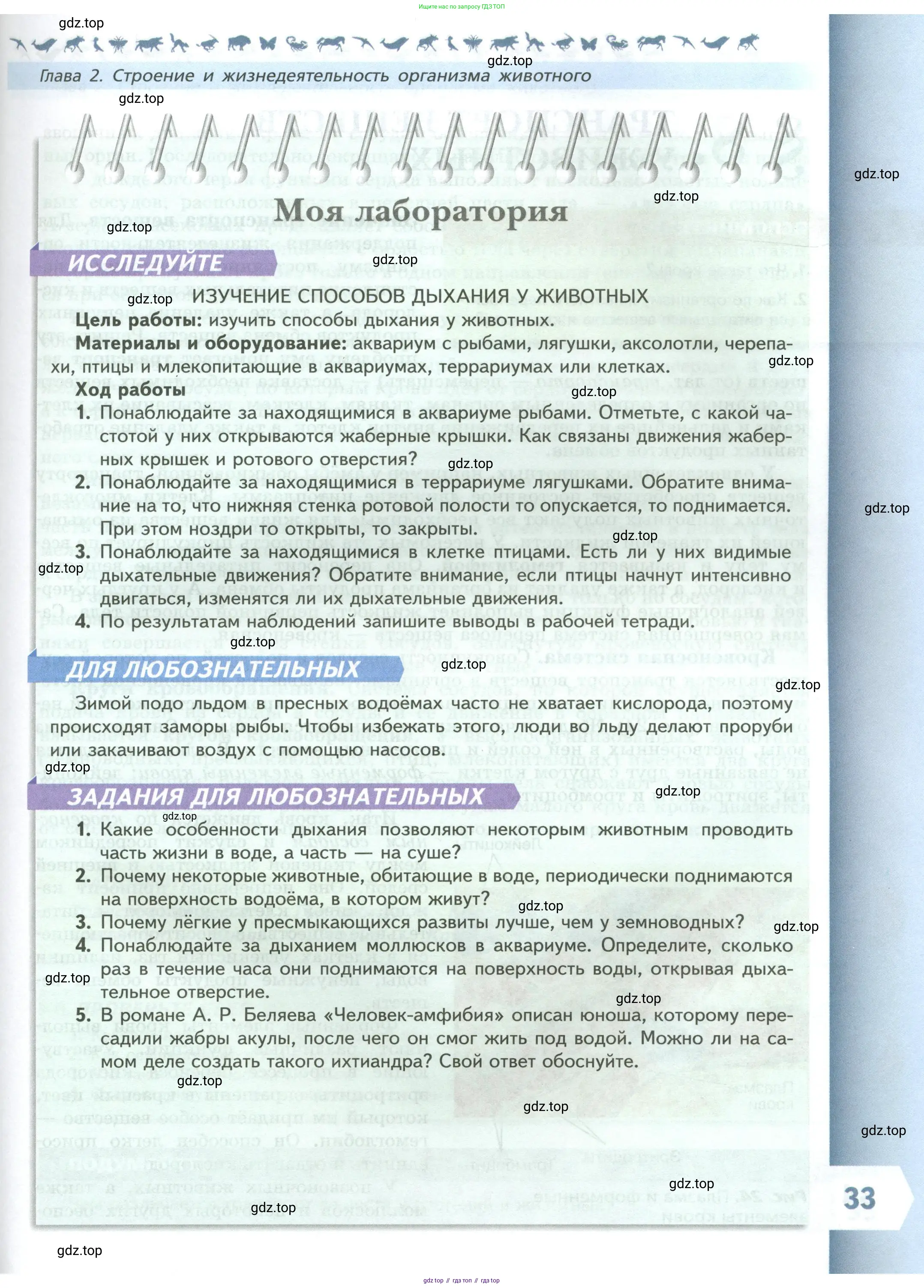 Биология, 8 класс Учебник, авторы: Пасечник Владимир Васильевич, Суматохин Сергей Витальевич, Гапонюк Зоя Георгиевна, издательство Просвещение, Москва, 2023, белого цвета, страница 33