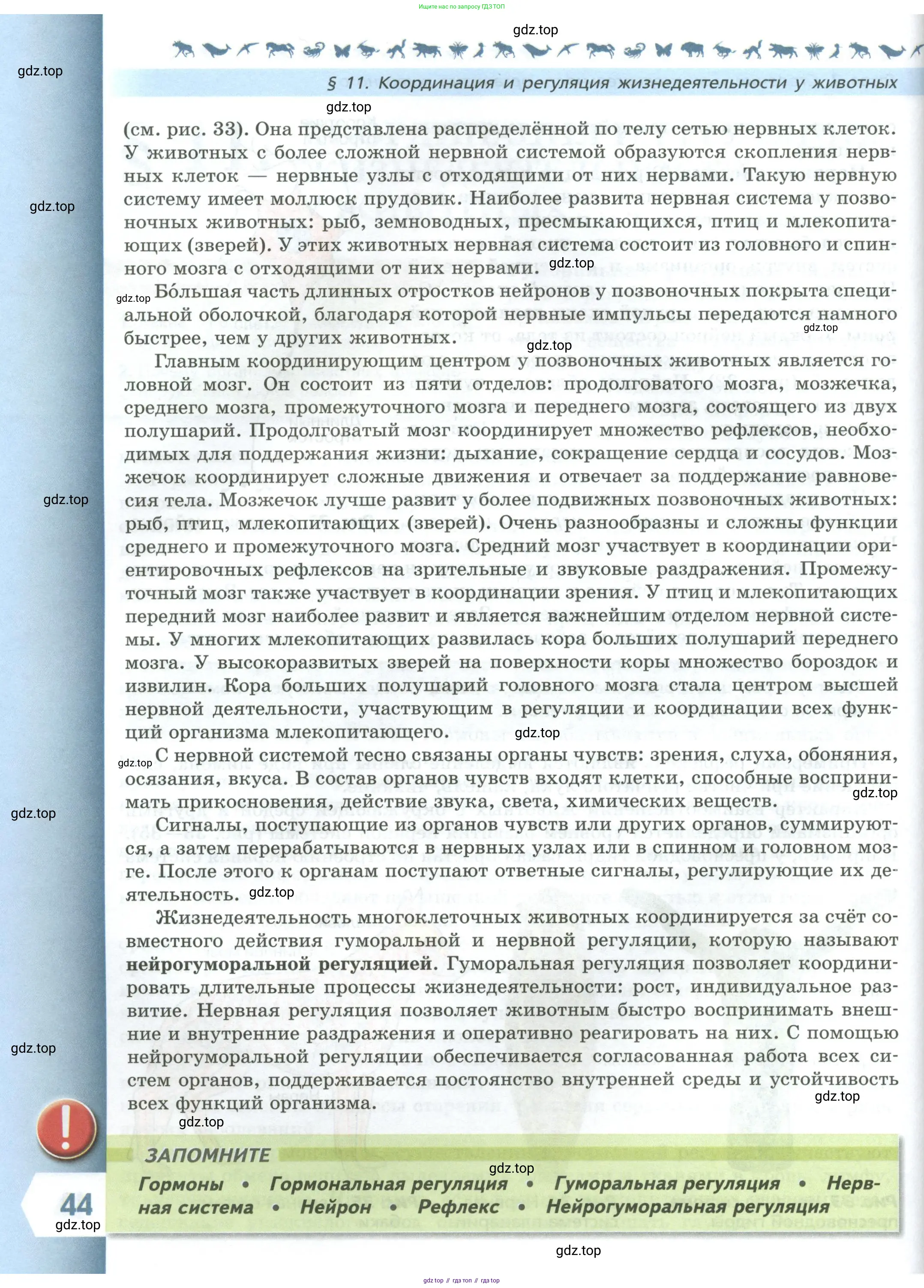 Биология, 8 класс Учебник, авторы: Пасечник Владимир Васильевич, Суматохин Сергей Витальевич, Гапонюк Зоя Георгиевна, издательство Просвещение, Москва, 2023, белого цвета, страница 44