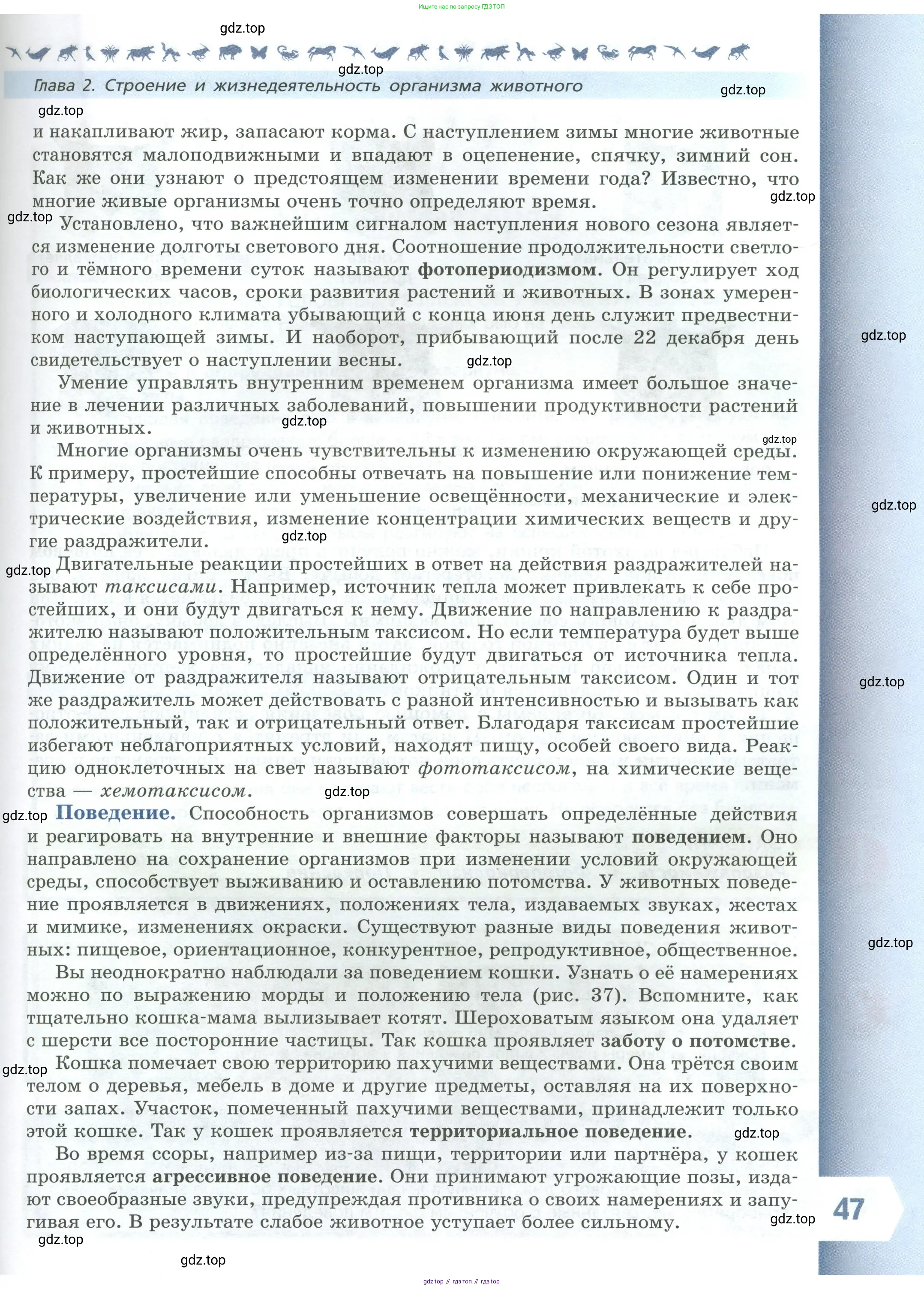 Биология, 8 класс Учебник, авторы: Пасечник Владимир Васильевич, Суматохин Сергей Витальевич, Гапонюк Зоя Георгиевна, издательство Просвещение, Москва, 2023, белого цвета, страница 47