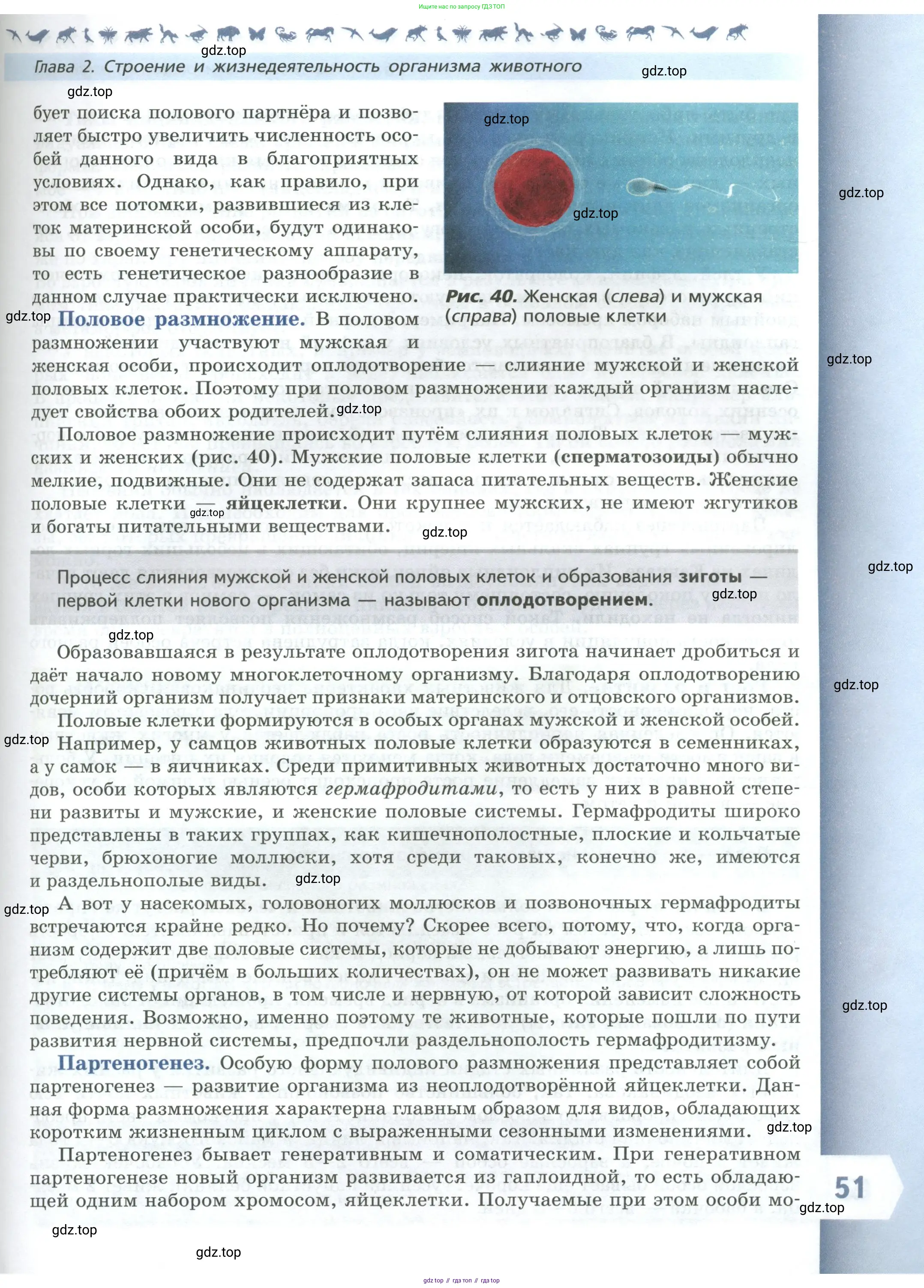 Биология, 8 класс Учебник, авторы: Пасечник Владимир Васильевич, Суматохин Сергей Витальевич, Гапонюк Зоя Георгиевна, издательство Просвещение, Москва, 2023, белого цвета, страница 51