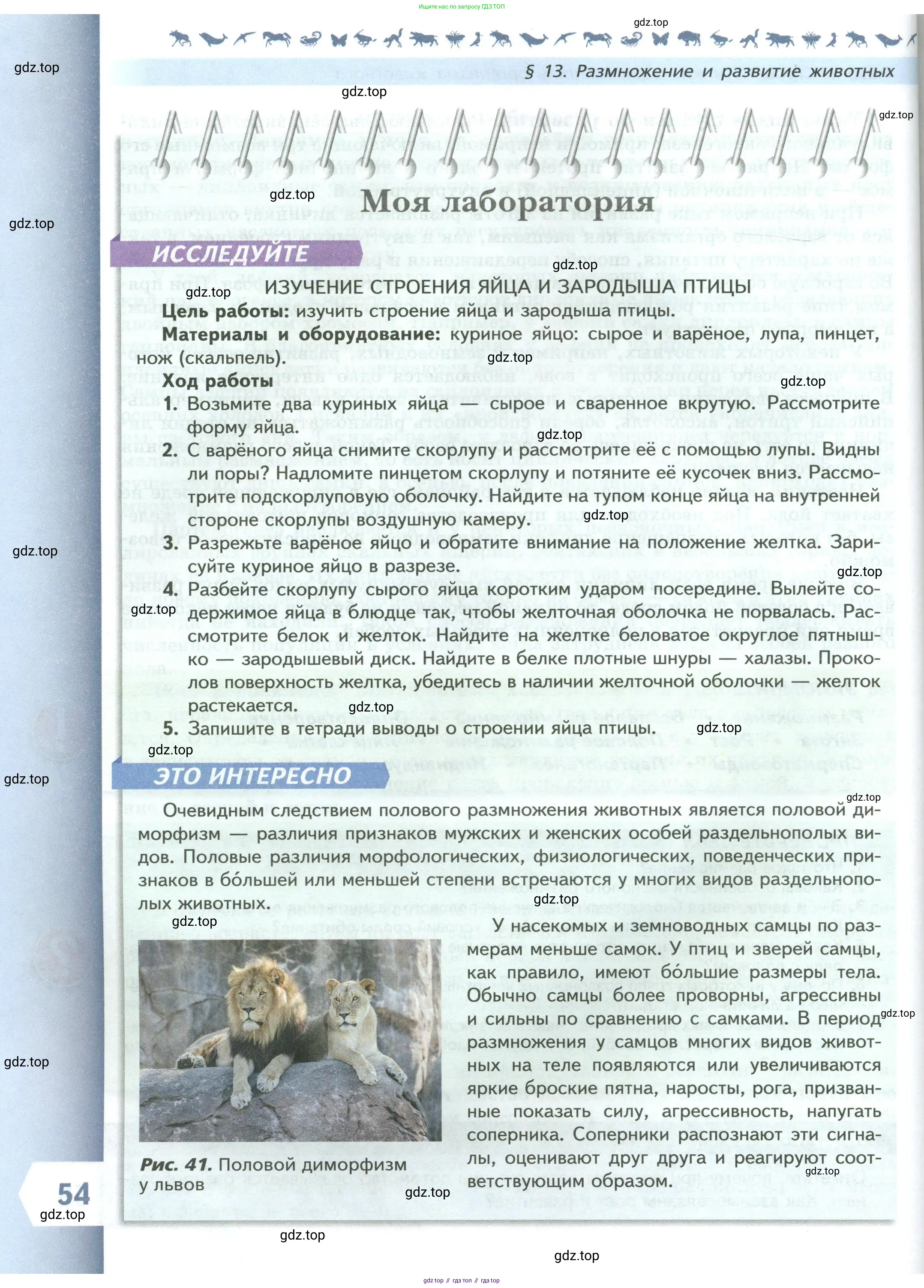 Биология, 8 класс Учебник, авторы: Пасечник Владимир Васильевич, Суматохин Сергей Витальевич, Гапонюк Зоя Георгиевна, издательство Просвещение, Москва, 2023, белого цвета, страница 54