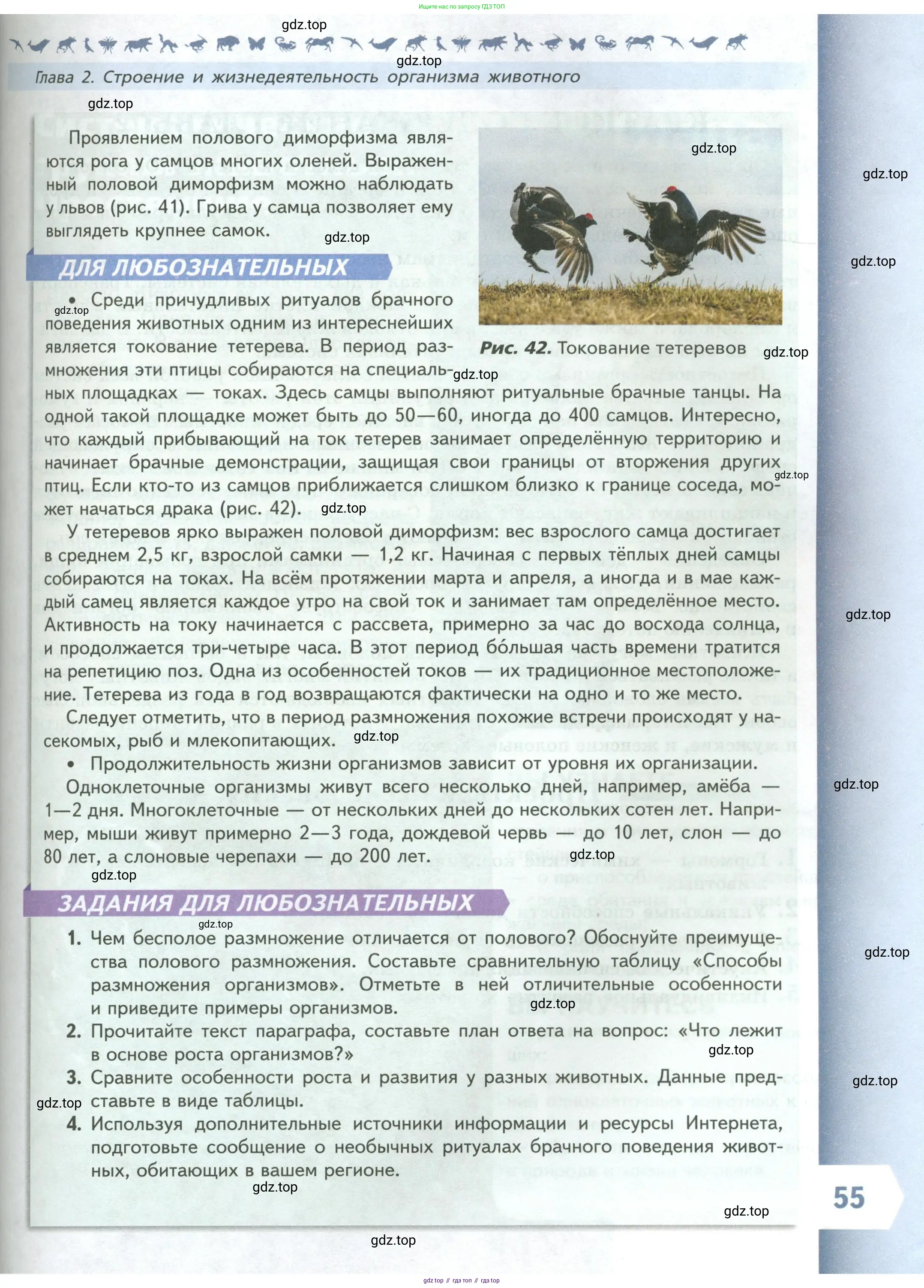 Биология, 8 класс Учебник, авторы: Пасечник Владимир Васильевич, Суматохин Сергей Витальевич, Гапонюк Зоя Георгиевна, издательство Просвещение, Москва, 2023, белого цвета, страница 55