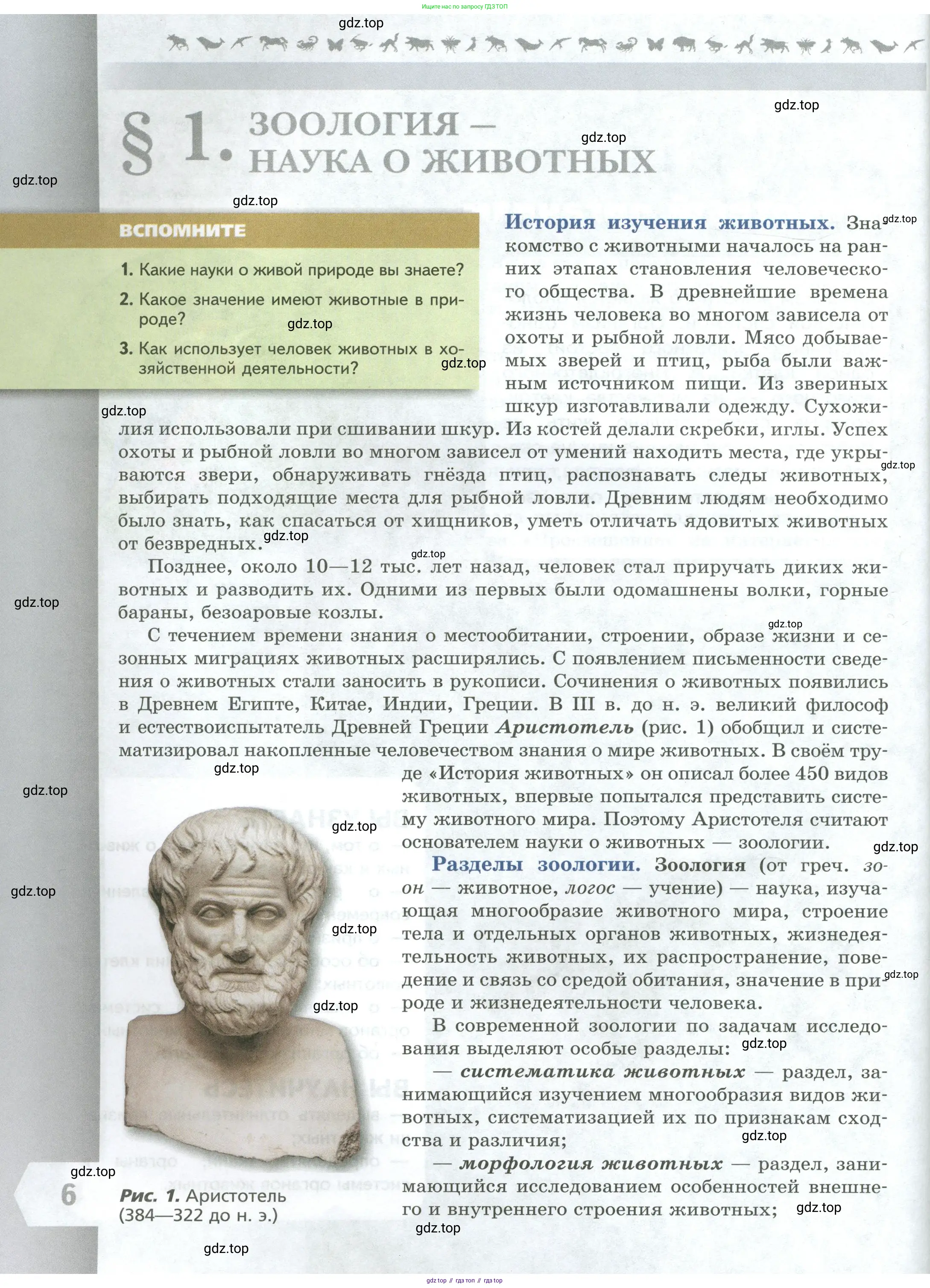 Биология, 8 класс Учебник, авторы: Пасечник Владимир Васильевич, Суматохин Сергей Витальевич, Гапонюк Зоя Георгиевна, издательство Просвещение, Москва, 2023, белого цвета, страница 6