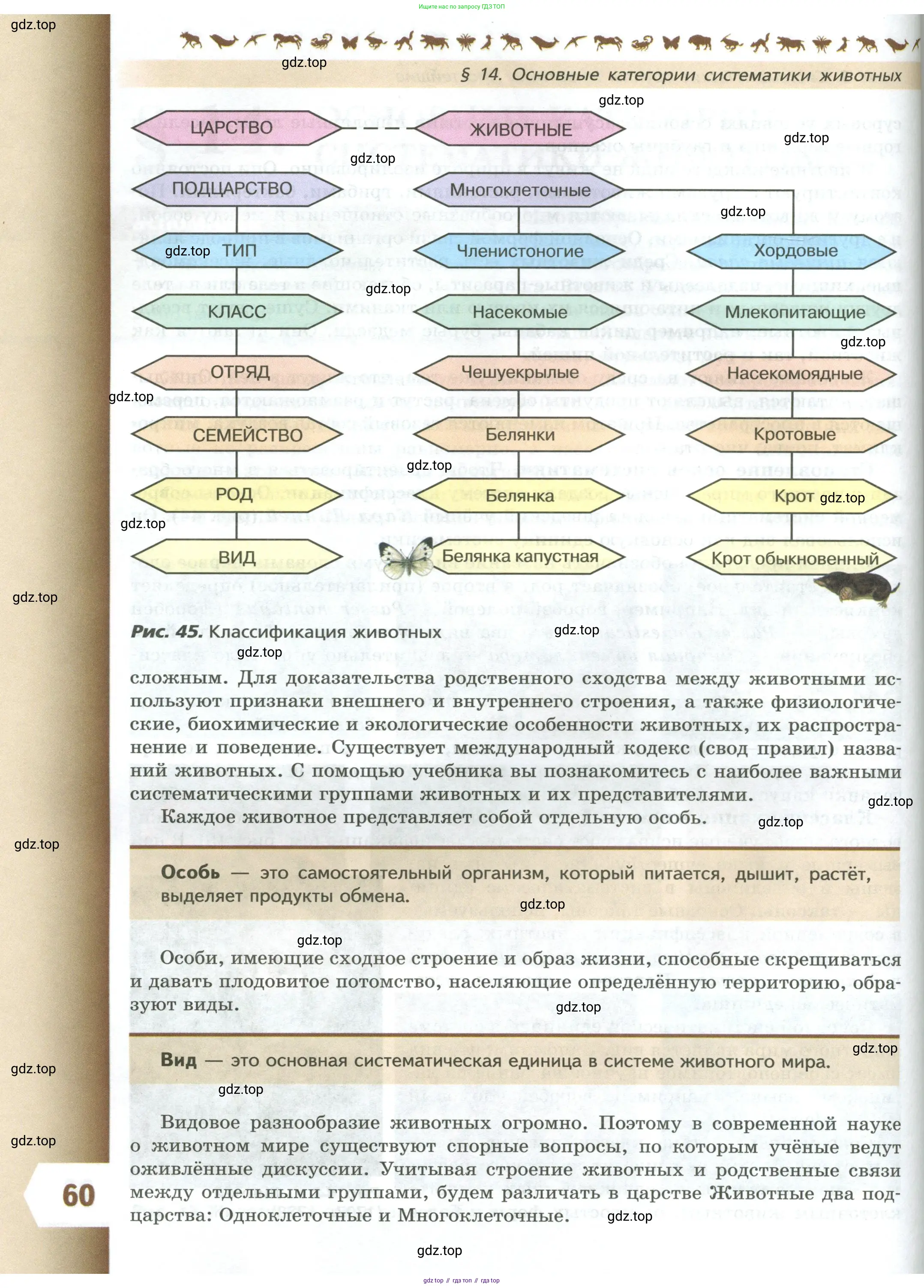 Биология, 8 класс Учебник, авторы: Пасечник Владимир Васильевич, Суматохин Сергей Витальевич, Гапонюк Зоя Георгиевна, издательство Просвещение, Москва, 2023, белого цвета, страница 60