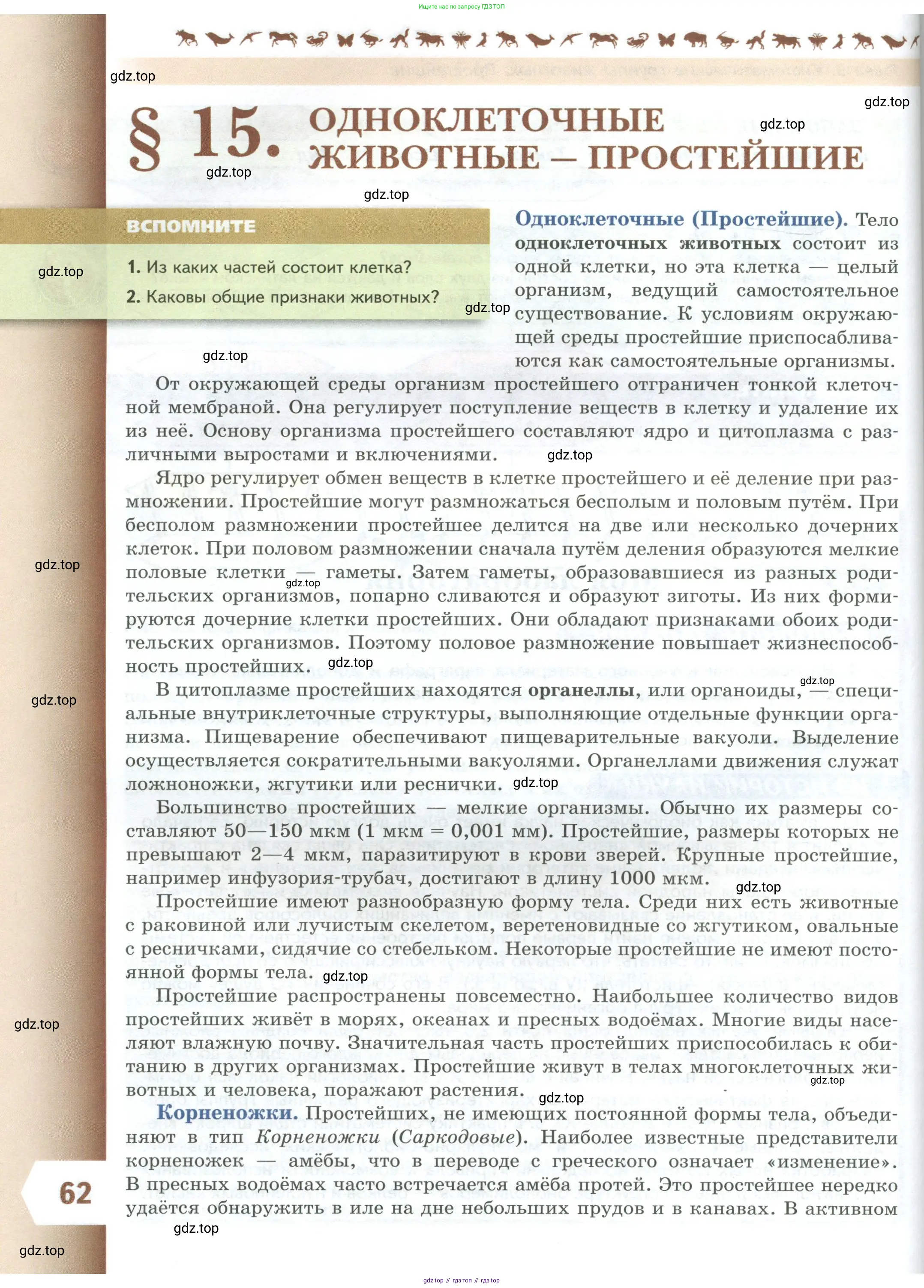 Биология, 8 класс Учебник, авторы: Пасечник Владимир Васильевич, Суматохин Сергей Витальевич, Гапонюк Зоя Георгиевна, издательство Просвещение, Москва, 2023, белого цвета, страница 62