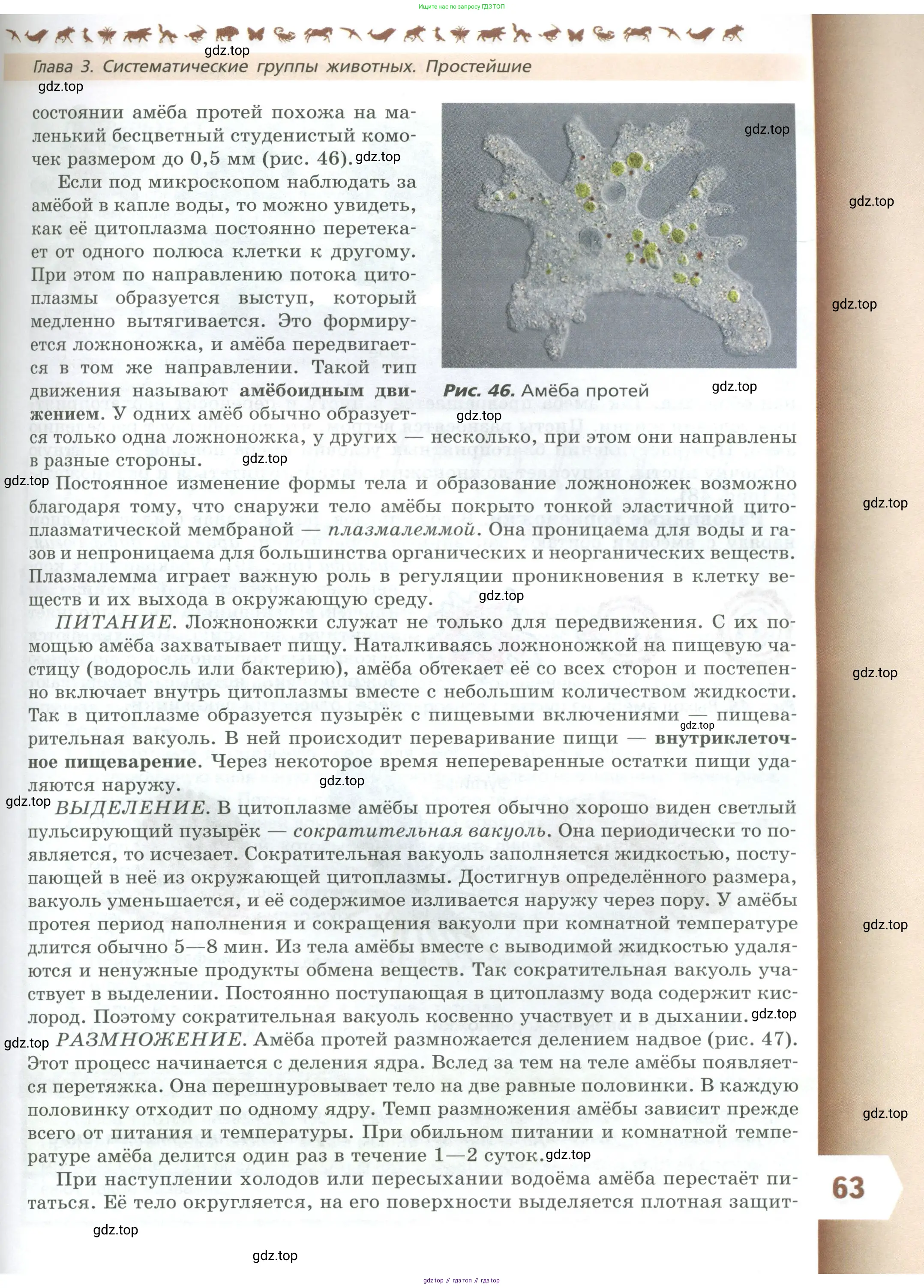Биология, 8 класс Учебник, авторы: Пасечник Владимир Васильевич, Суматохин Сергей Витальевич, Гапонюк Зоя Георгиевна, издательство Просвещение, Москва, 2023, белого цвета, страница 63