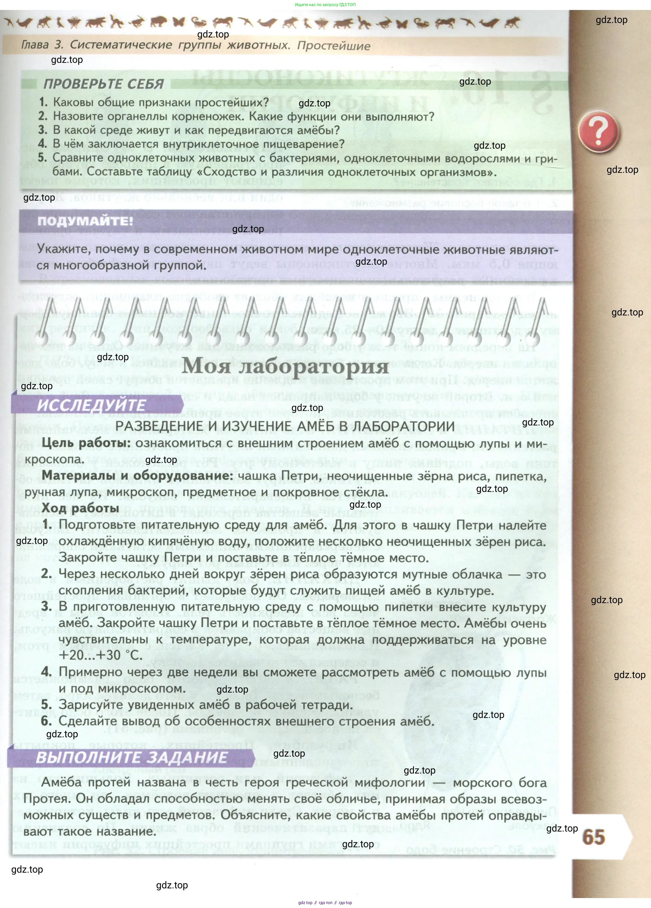 Биология, 8 класс Учебник, авторы: Пасечник Владимир Васильевич, Суматохин Сергей Витальевич, Гапонюк Зоя Георгиевна, издательство Просвещение, Москва, 2023, белого цвета, страница 65