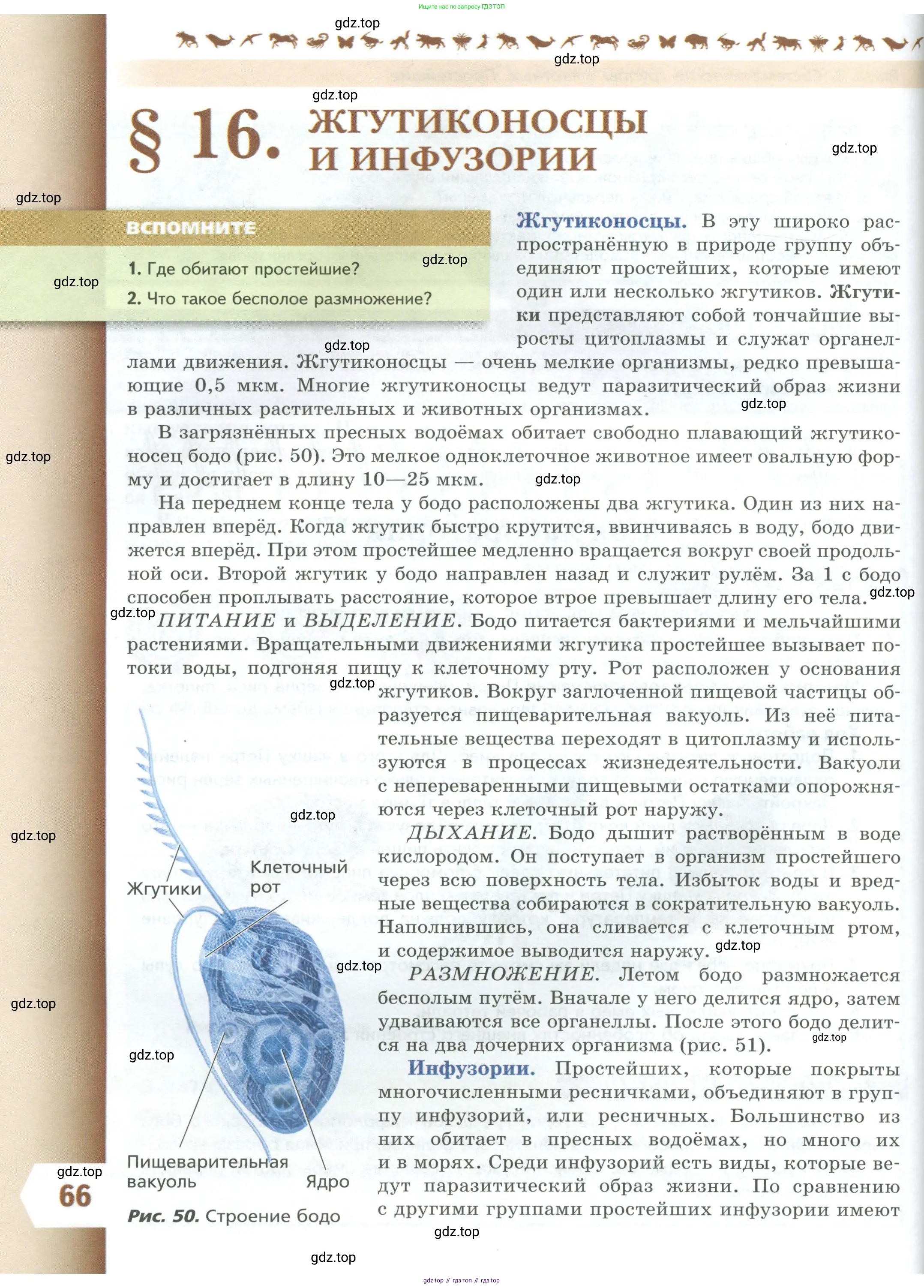Биология, 8 класс Учебник, авторы: Пасечник Владимир Васильевич, Суматохин Сергей Витальевич, Гапонюк Зоя Георгиевна, издательство Просвещение, Москва, 2023, белого цвета, страница 66