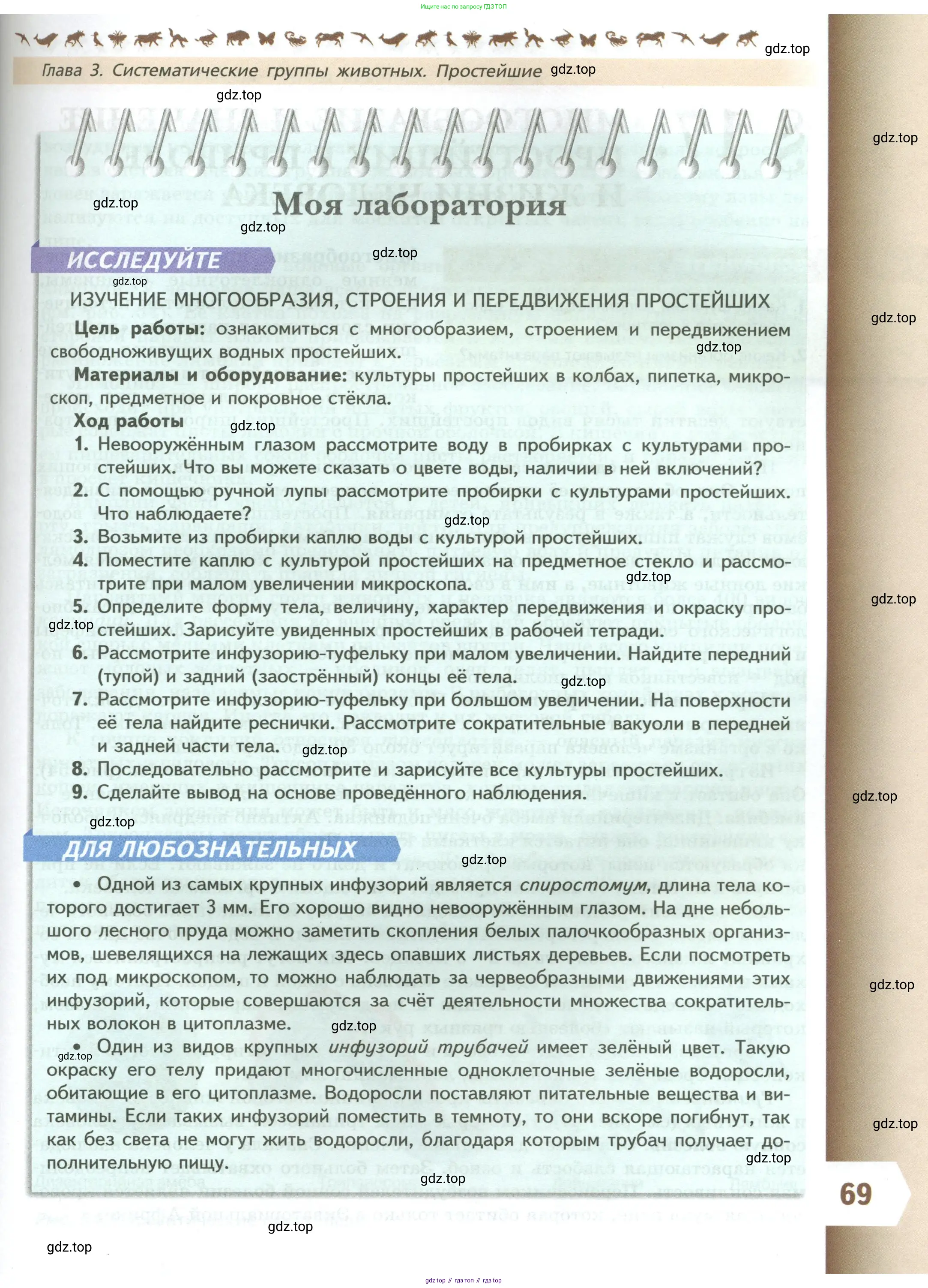 Биология, 8 класс Учебник, авторы: Пасечник Владимир Васильевич, Суматохин Сергей Витальевич, Гапонюк Зоя Георгиевна, издательство Просвещение, Москва, 2023, белого цвета, страница 69