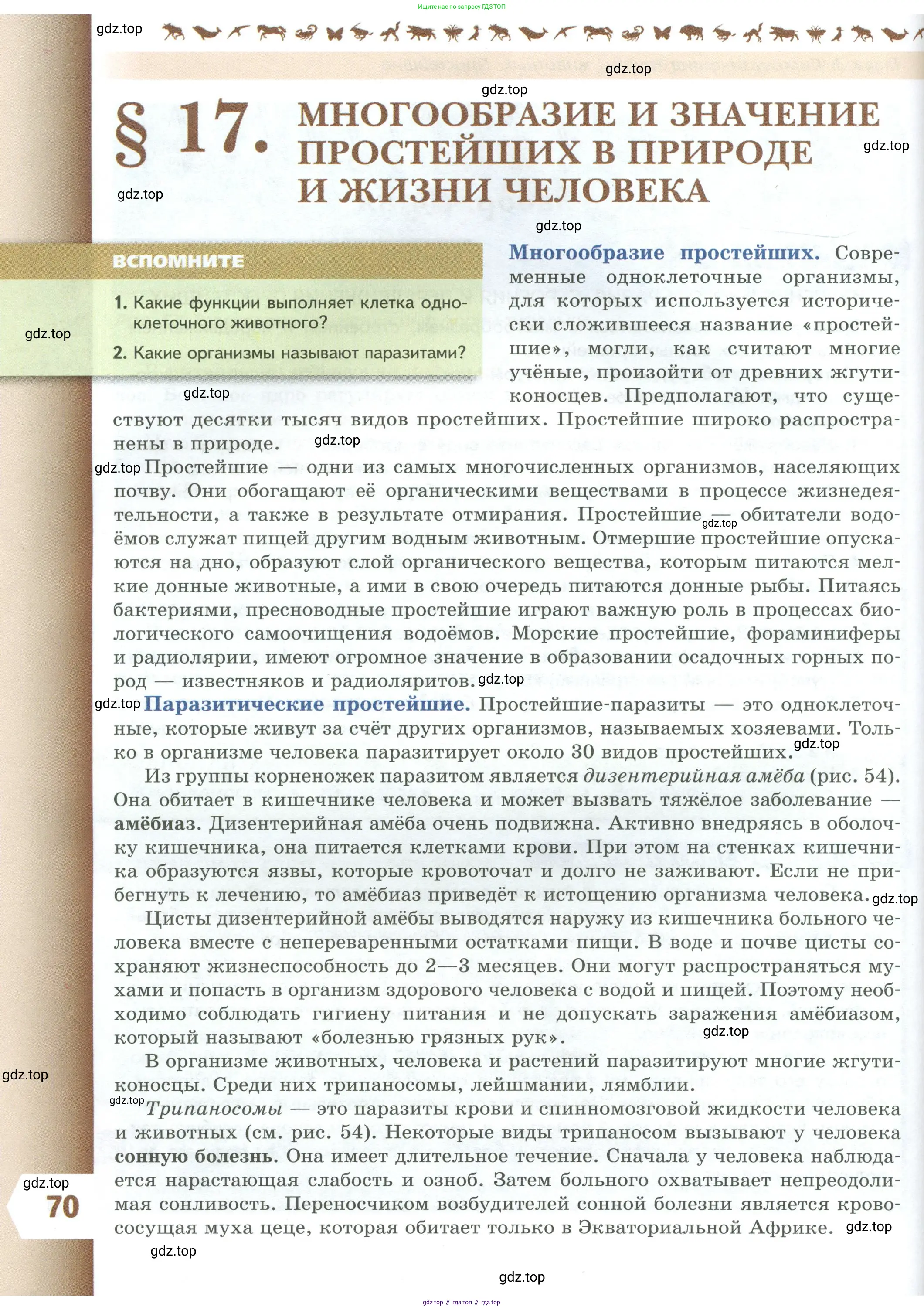 Биология, 8 класс Учебник, авторы: Пасечник Владимир Васильевич, Суматохин Сергей Витальевич, Гапонюк Зоя Георгиевна, издательство Просвещение, Москва, 2023, белого цвета, страница 70