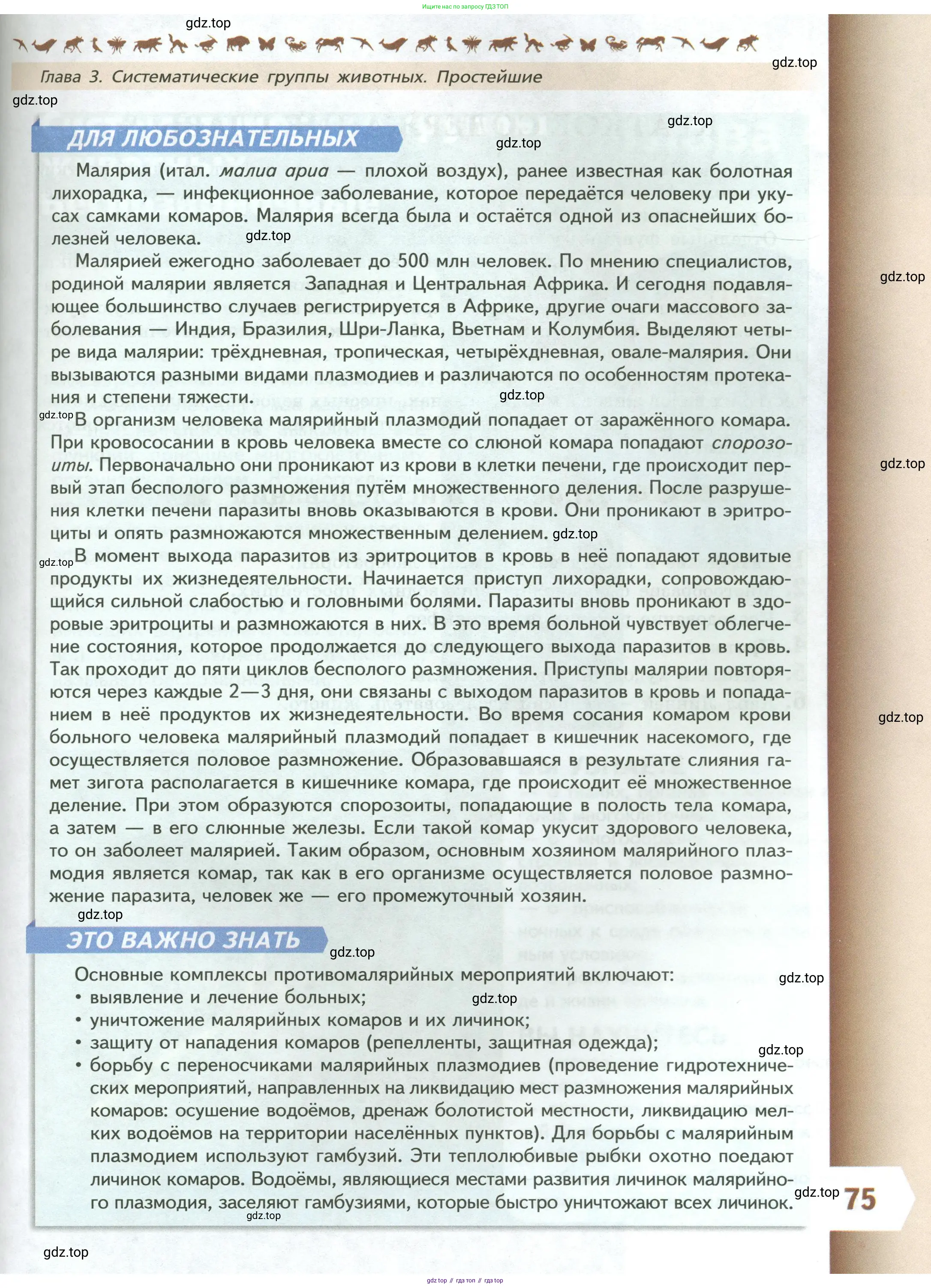 Биология, 8 класс Учебник, авторы: Пасечник Владимир Васильевич, Суматохин Сергей Витальевич, Гапонюк Зоя Георгиевна, издательство Просвещение, Москва, 2023, белого цвета, страница 75