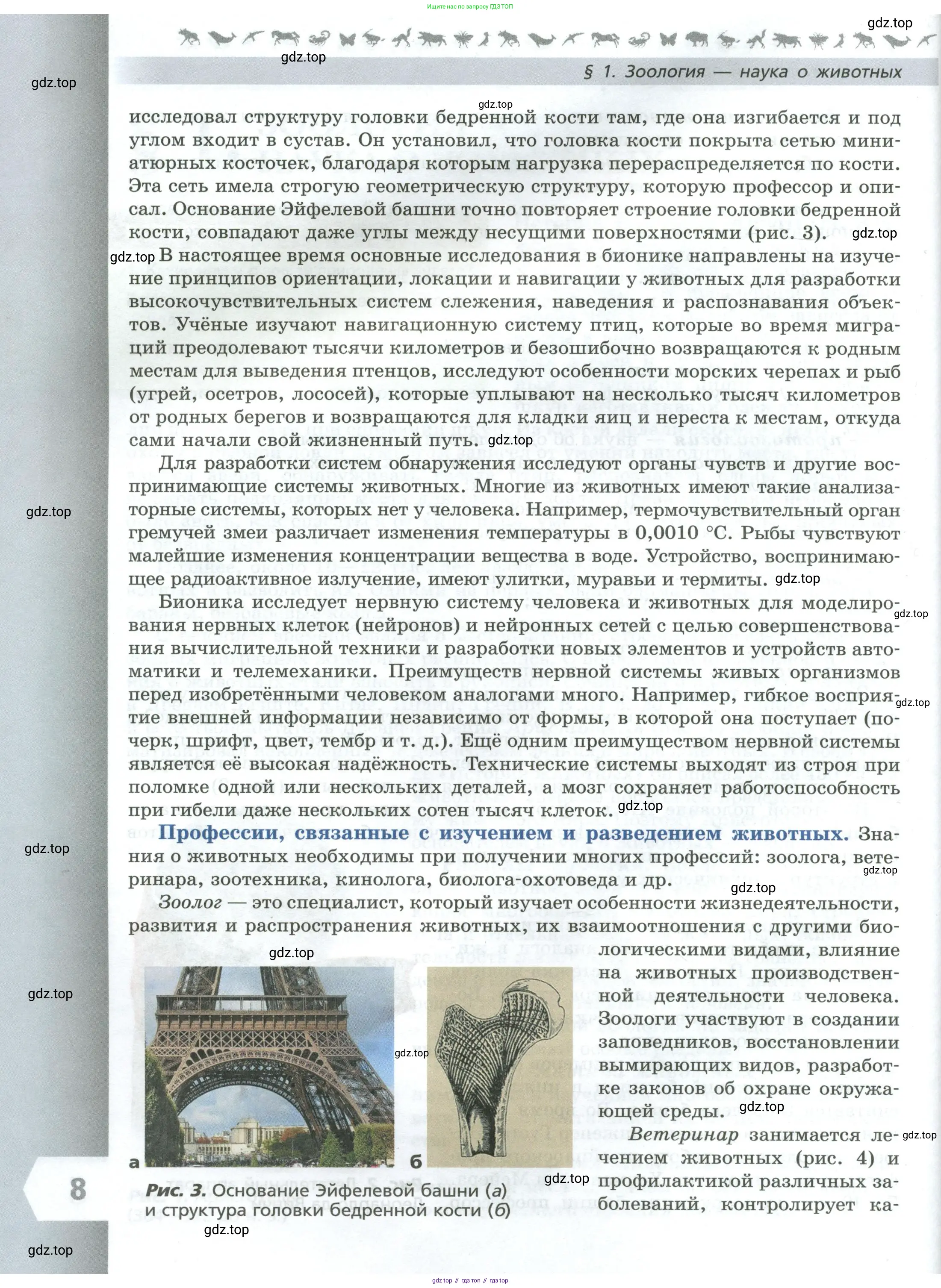 Биология, 8 класс Учебник, авторы: Пасечник Владимир Васильевич, Суматохин Сергей Витальевич, Гапонюк Зоя Георгиевна, издательство Просвещение, Москва, 2023, белого цвета, страница 8