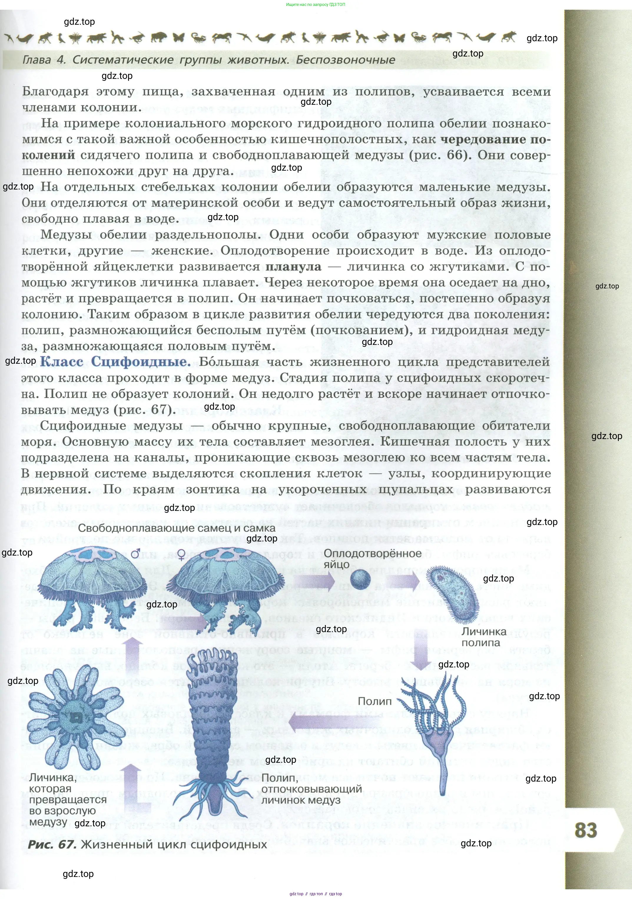 Биология, 8 класс Учебник, авторы: Пасечник Владимир Васильевич, Суматохин Сергей Витальевич, Гапонюк Зоя Георгиевна, издательство Просвещение, Москва, 2023, белого цвета, страница 83