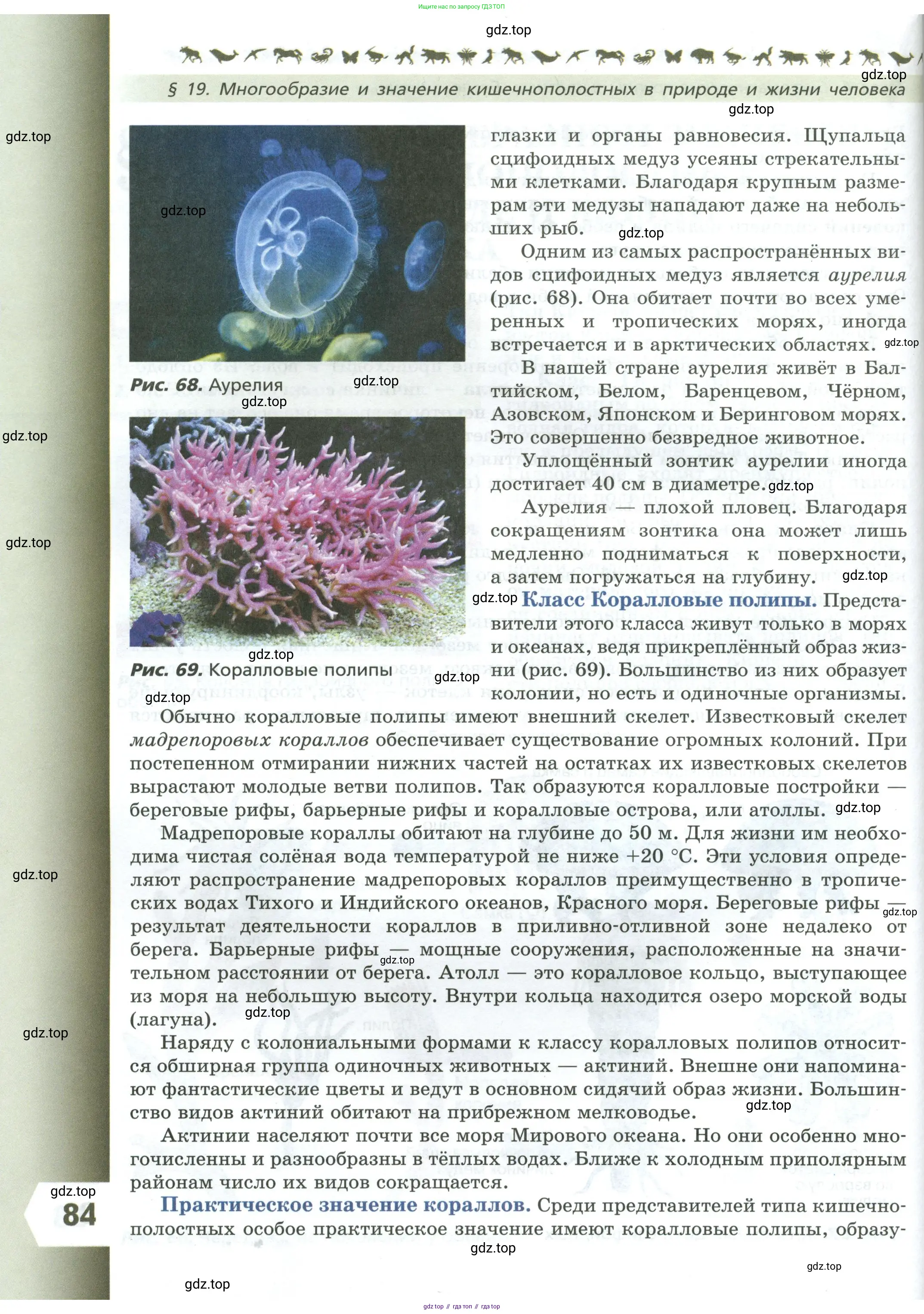 Биология, 8 класс Учебник, авторы: Пасечник Владимир Васильевич, Суматохин Сергей Витальевич, Гапонюк Зоя Георгиевна, издательство Просвещение, Москва, 2023, белого цвета, страница 84