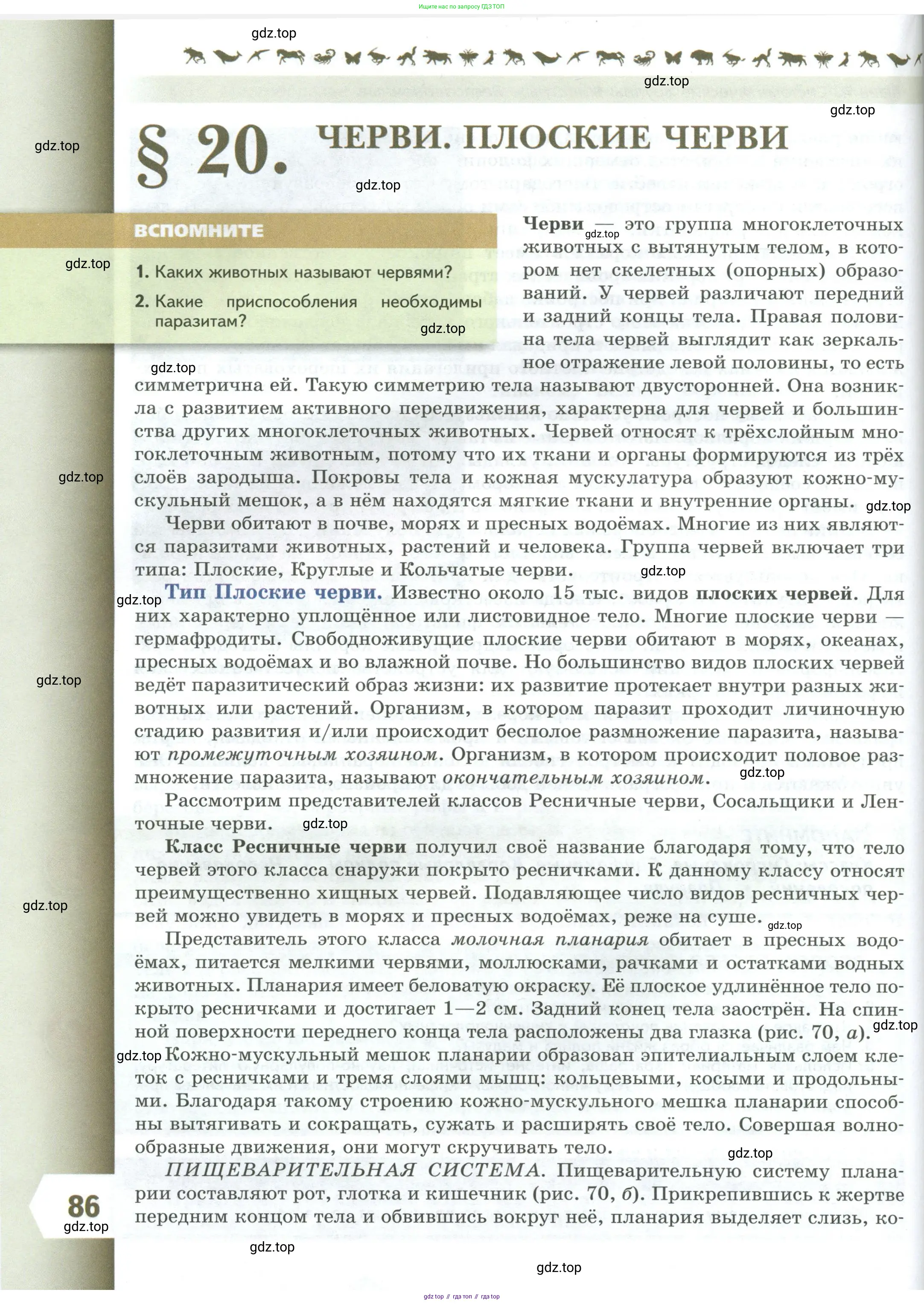 Биология, 8 класс Учебник, авторы: Пасечник Владимир Васильевич, Суматохин Сергей Витальевич, Гапонюк Зоя Георгиевна, издательство Просвещение, Москва, 2023, белого цвета, страница 86