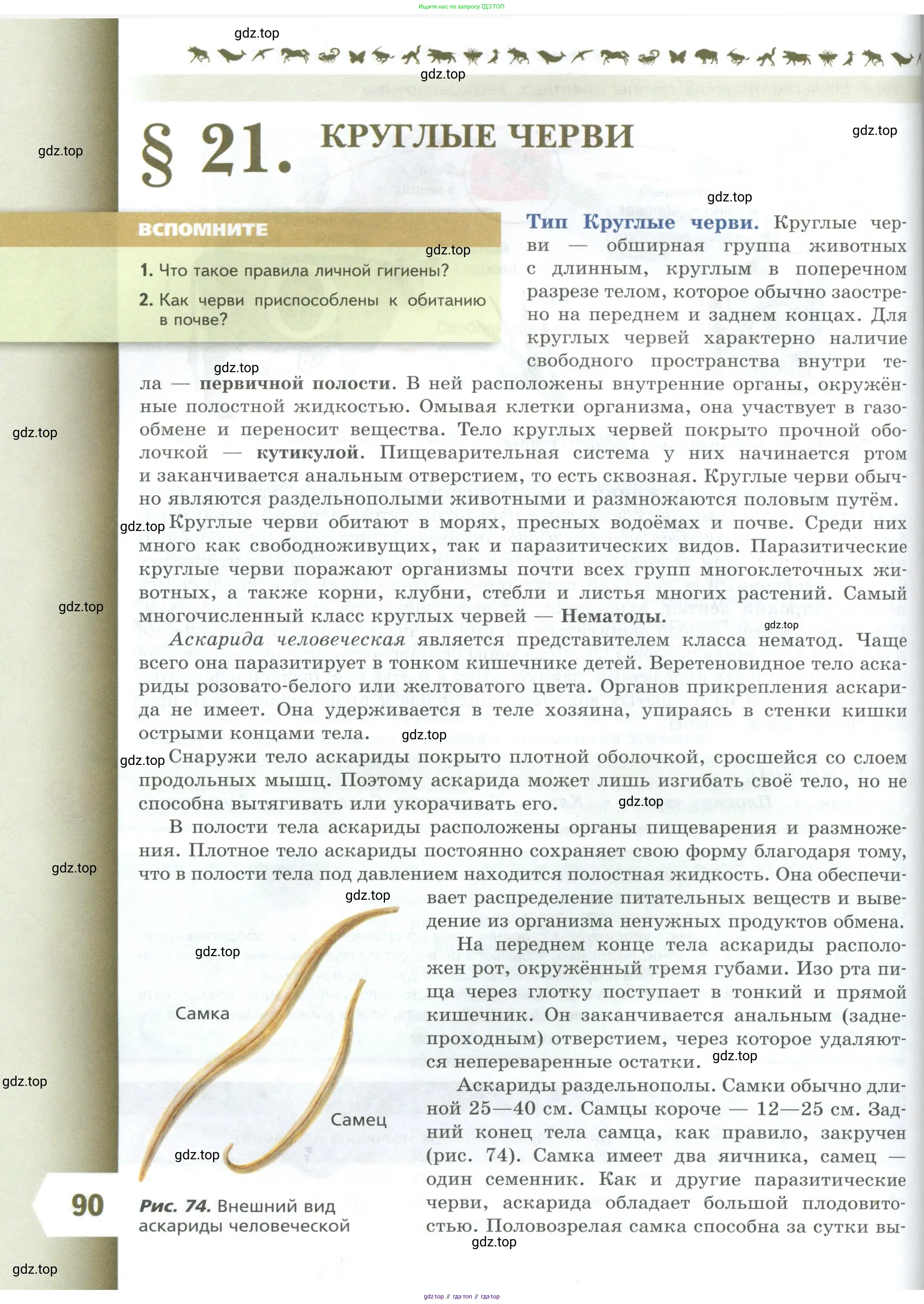 Биология, 8 класс Учебник, авторы: Пасечник Владимир Васильевич, Суматохин Сергей Витальевич, Гапонюк Зоя Георгиевна, издательство Просвещение, Москва, 2023, белого цвета, страница 90