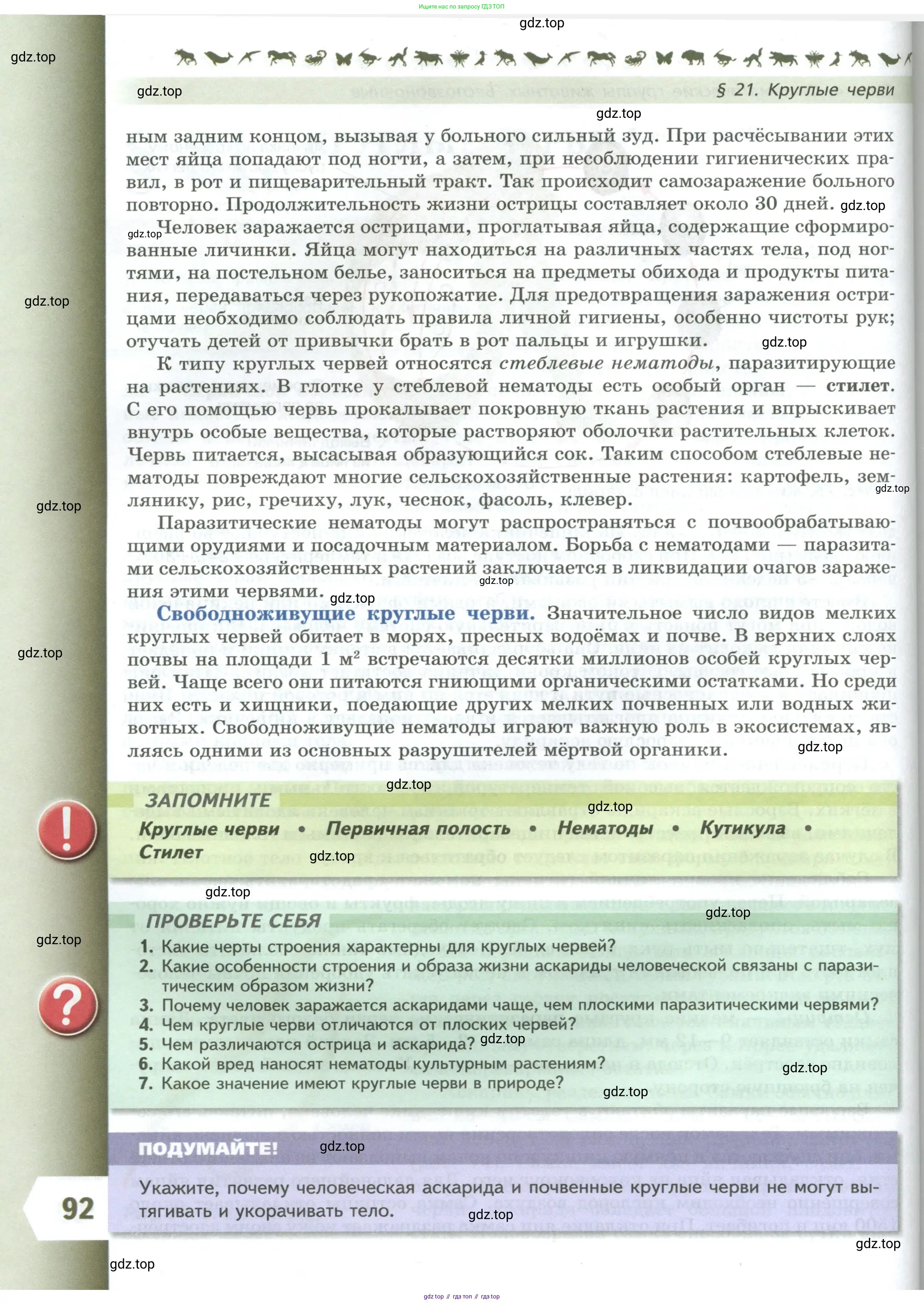 Биология, 8 класс Учебник, авторы: Пасечник Владимир Васильевич, Суматохин Сергей Витальевич, Гапонюк Зоя Георгиевна, издательство Просвещение, Москва, 2023, белого цвета, страница 92