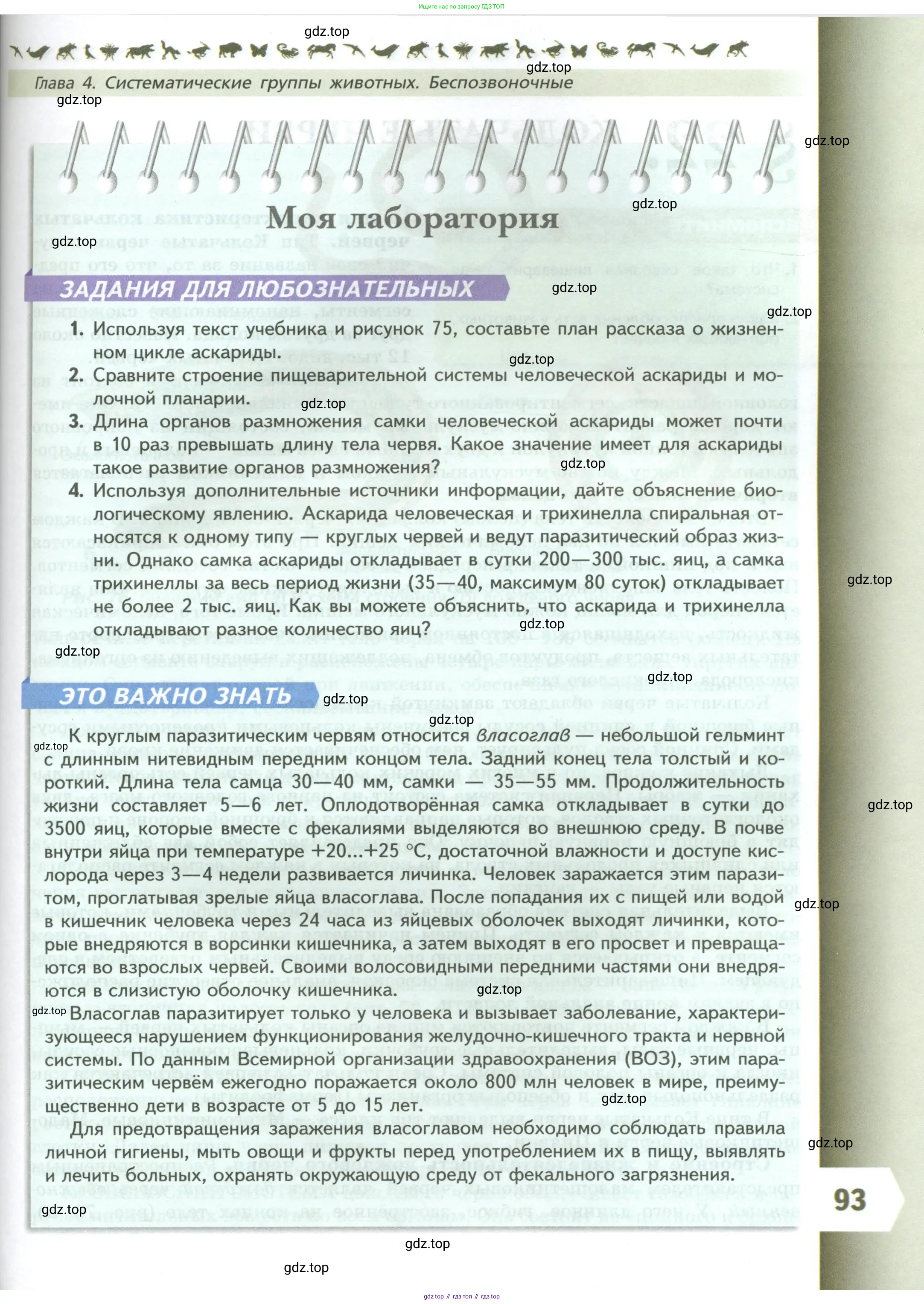 Биология, 8 класс Учебник, авторы: Пасечник Владимир Васильевич, Суматохин Сергей Витальевич, Гапонюк Зоя Георгиевна, издательство Просвещение, Москва, 2023, белого цвета, страница 93