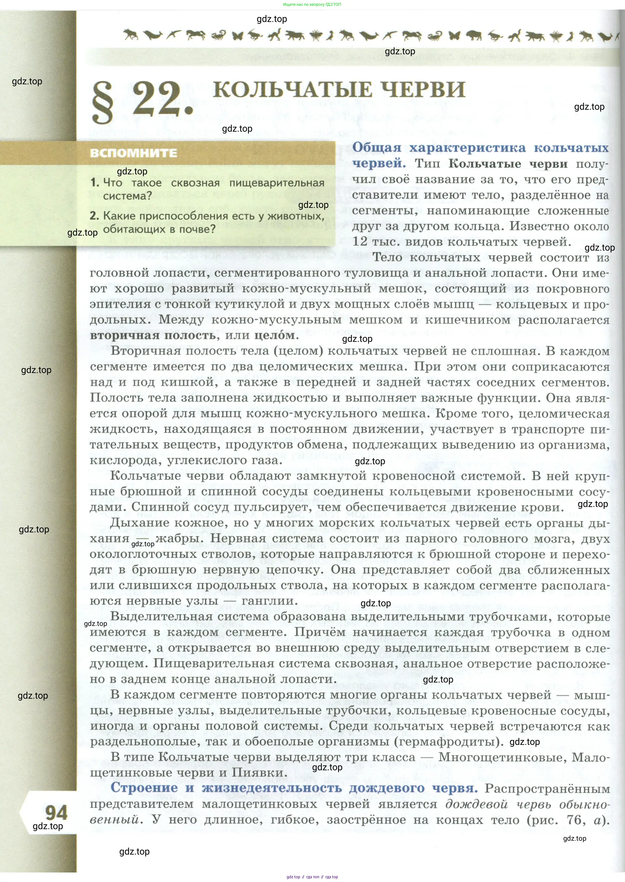 Биология, 8 класс Учебник, авторы: Пасечник Владимир Васильевич, Суматохин Сергей Витальевич, Гапонюк Зоя Георгиевна, издательство Просвещение, Москва, 2023, белого цвета, страница 94