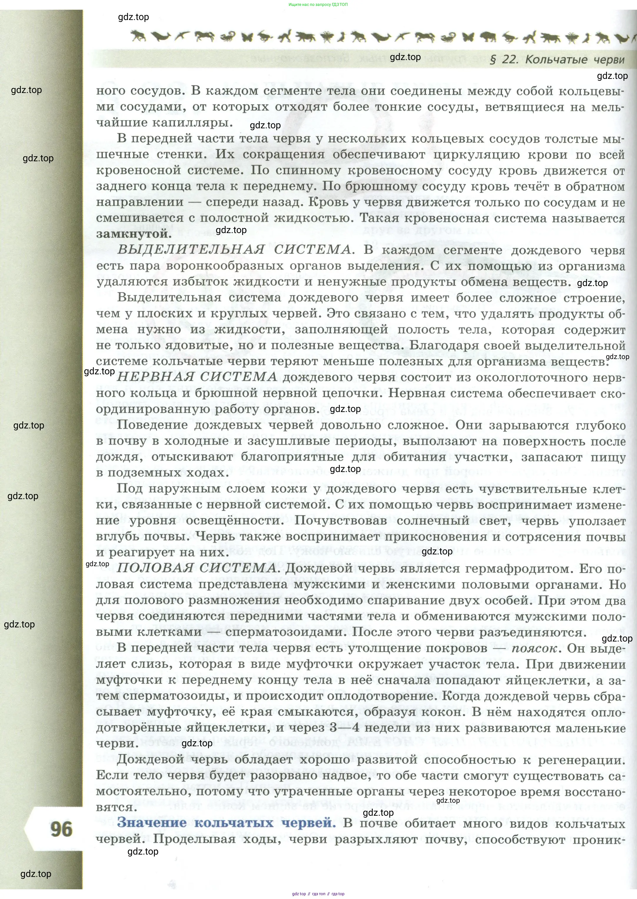 Биология, 8 класс Учебник, авторы: Пасечник Владимир Васильевич, Суматохин Сергей Витальевич, Гапонюк Зоя Георгиевна, издательство Просвещение, Москва, 2023, белого цвета, страница 96