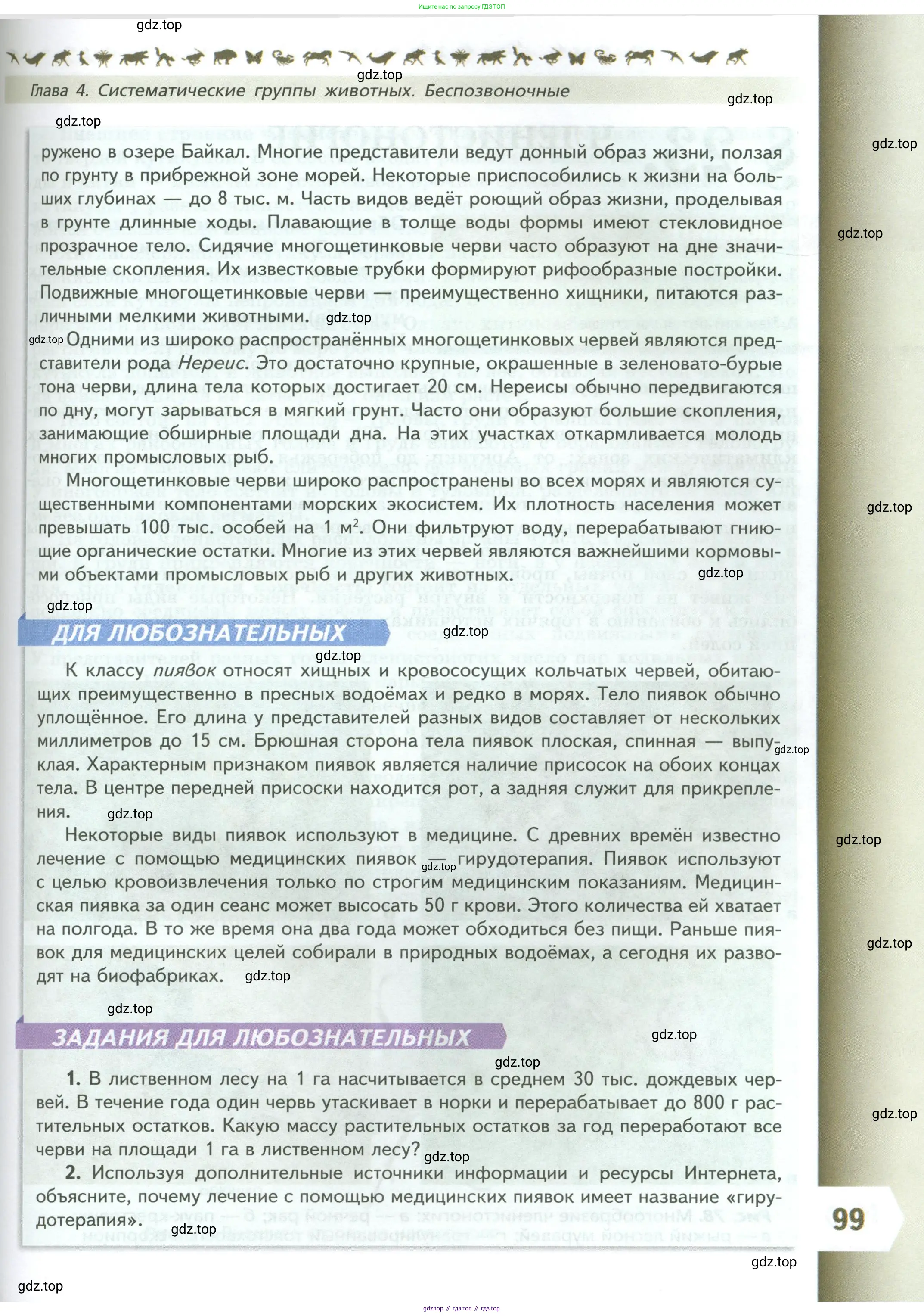 Биология, 8 класс Учебник, авторы: Пасечник Владимир Васильевич, Суматохин Сергей Витальевич, Гапонюк Зоя Георгиевна, издательство Просвещение, Москва, 2023, белого цвета, страница 99