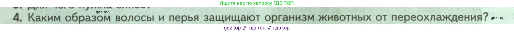 Биология, 8 класс Учебник, авторы: Пасечник Владимир Васильевич, Суматохин Сергей Витальевич, Гапонюк Зоя Георгиевна, издательство Просвещение, Москва, 2023, белого цвета, страница 40, номер 4, Условие