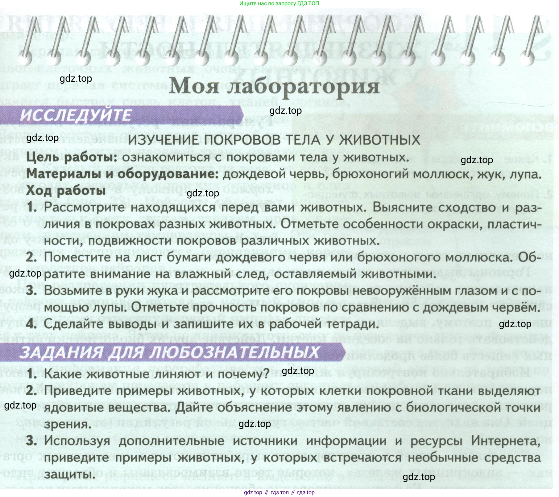 ГДЗ Биология, 8 класс Учебник, авторы: Пасечник Владимир Васильевич, Суматохин Сергей Витальевич, Гапонюк Зоя Георгиевна, издательство Просвещение, Москва, 2023, белого цвета, страница 41, Условие