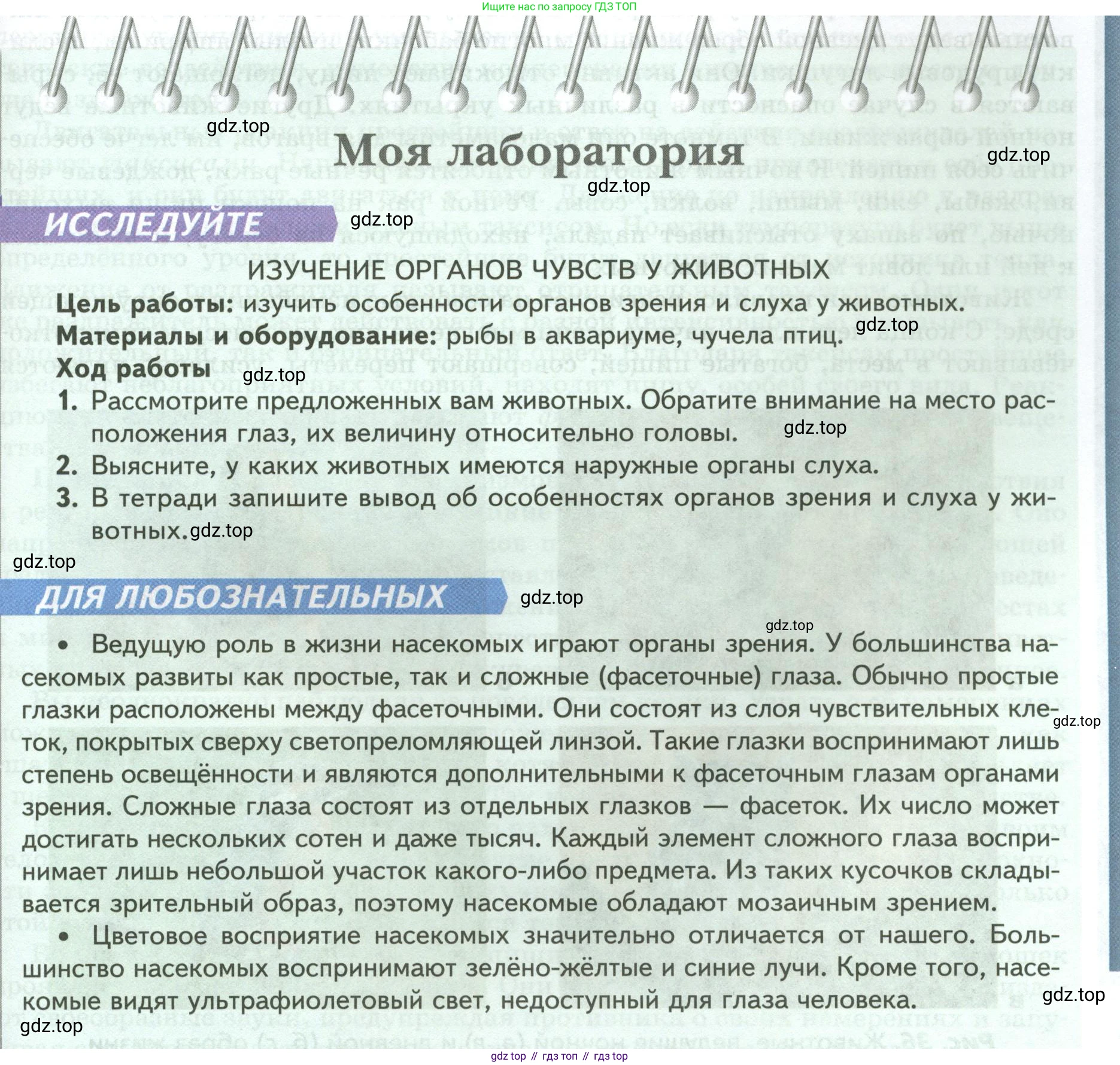 ГДЗ Биология, 8 класс Учебник, авторы: Пасечник Владимир Васильевич, Суматохин Сергей Витальевич, Гапонюк Зоя Георгиевна, издательство Просвещение, Москва, 2023, белого цвета, страница 45, Условие