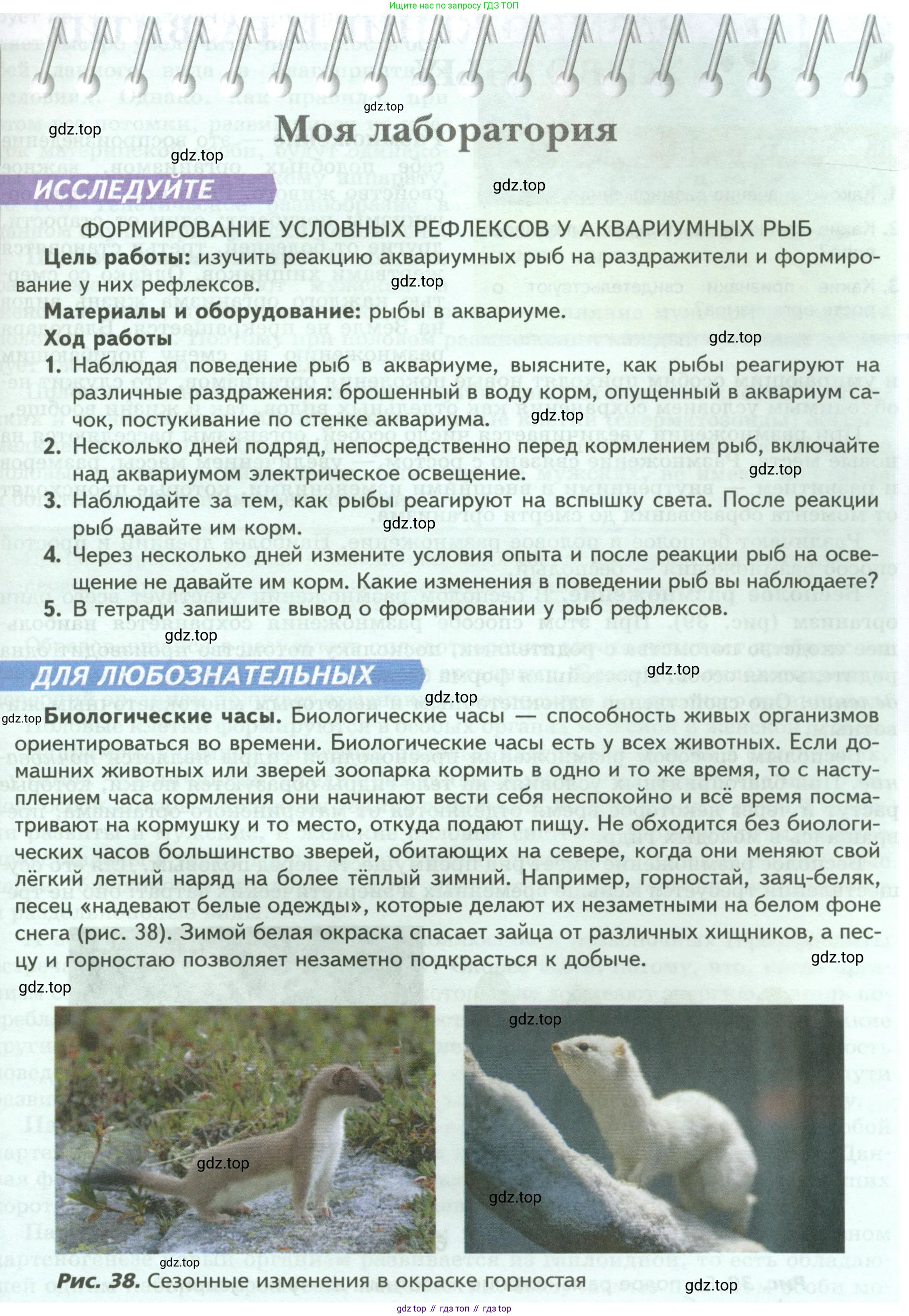 Биология, 8 класс Учебник, авторы: Пасечник Владимир Васильевич, Суматохин Сергей Витальевич, Гапонюк Зоя Георгиевна, издательство Просвещение, Москва, 2023, белого цвета, страница 49, Условие