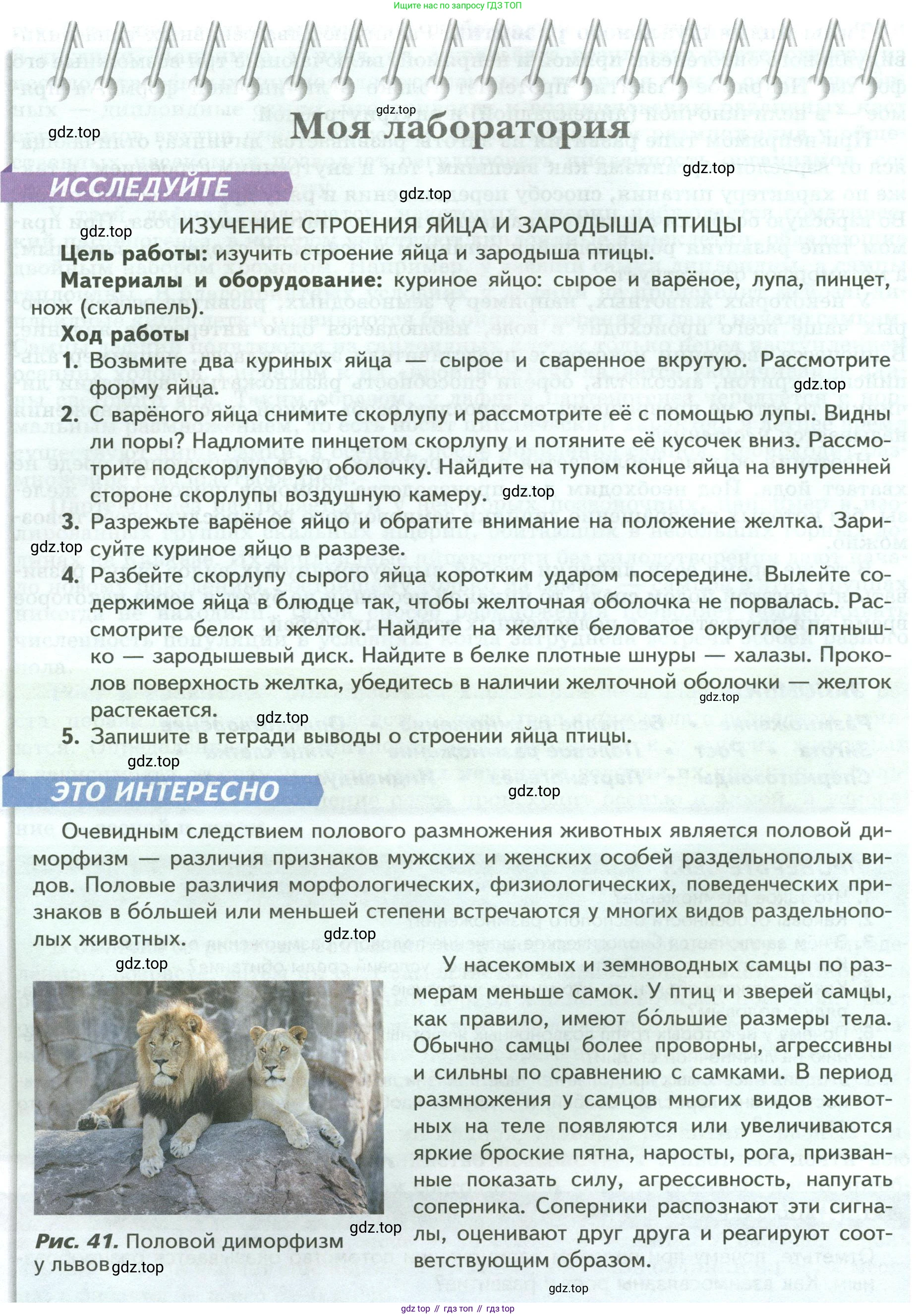 Биология, 8 класс Учебник, авторы: Пасечник Владимир Васильевич, Суматохин Сергей Витальевич, Гапонюк Зоя Георгиевна, издательство Просвещение, Москва, 2023, белого цвета, страница 54, Условие