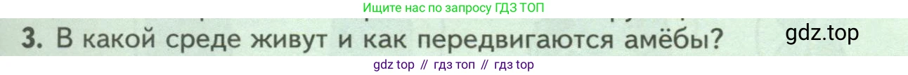 ГДЗ Биология, 8 класс Учебник, авторы: Пасечник Владимир Васильевич, Суматохин Сергей Витальевич, Гапонюк Зоя Георгиевна, издательство Просвещение, Москва, 2023, белого цвета, страница 65, номер 3, Условие