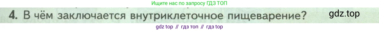 ГДЗ Биология, 8 класс Учебник, авторы: Пасечник Владимир Васильевич, Суматохин Сергей Витальевич, Гапонюк Зоя Георгиевна, издательство Просвещение, Москва, 2023, белого цвета, страница 65, номер 4, Условие