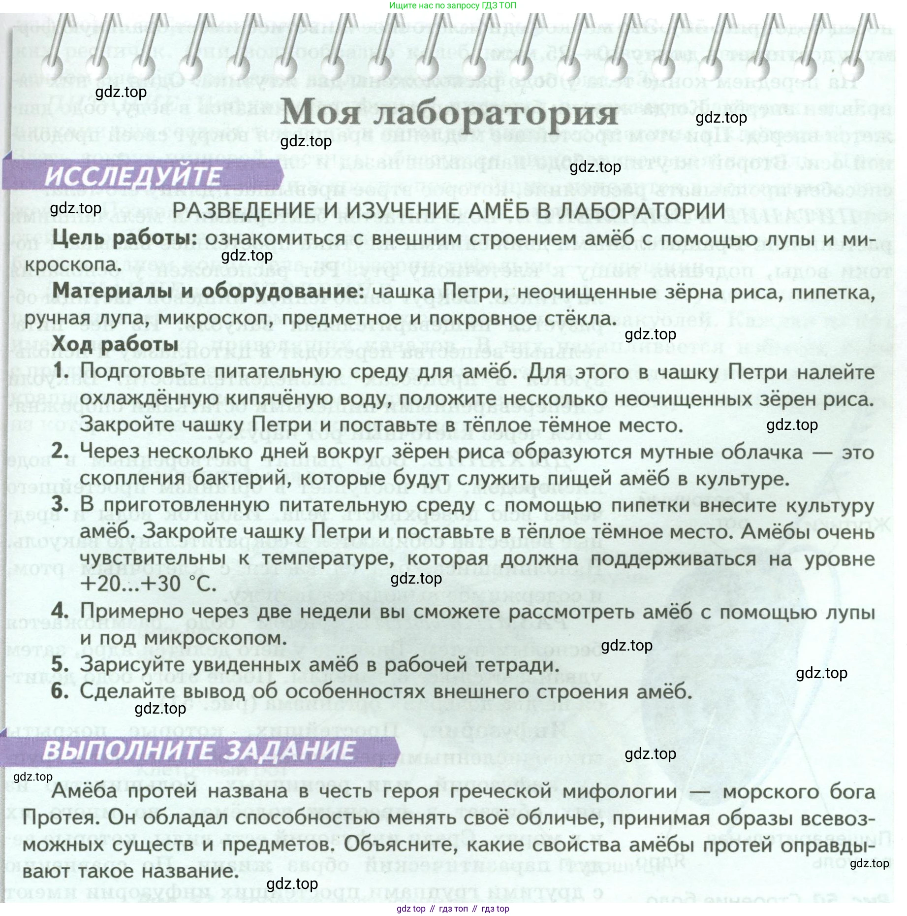 Биология, 8 класс Учебник, авторы: Пасечник Владимир Васильевич, Суматохин Сергей Витальевич, Гапонюк Зоя Георгиевна, издательство Просвещение, Москва, 2023, белого цвета, страница 65, Условие