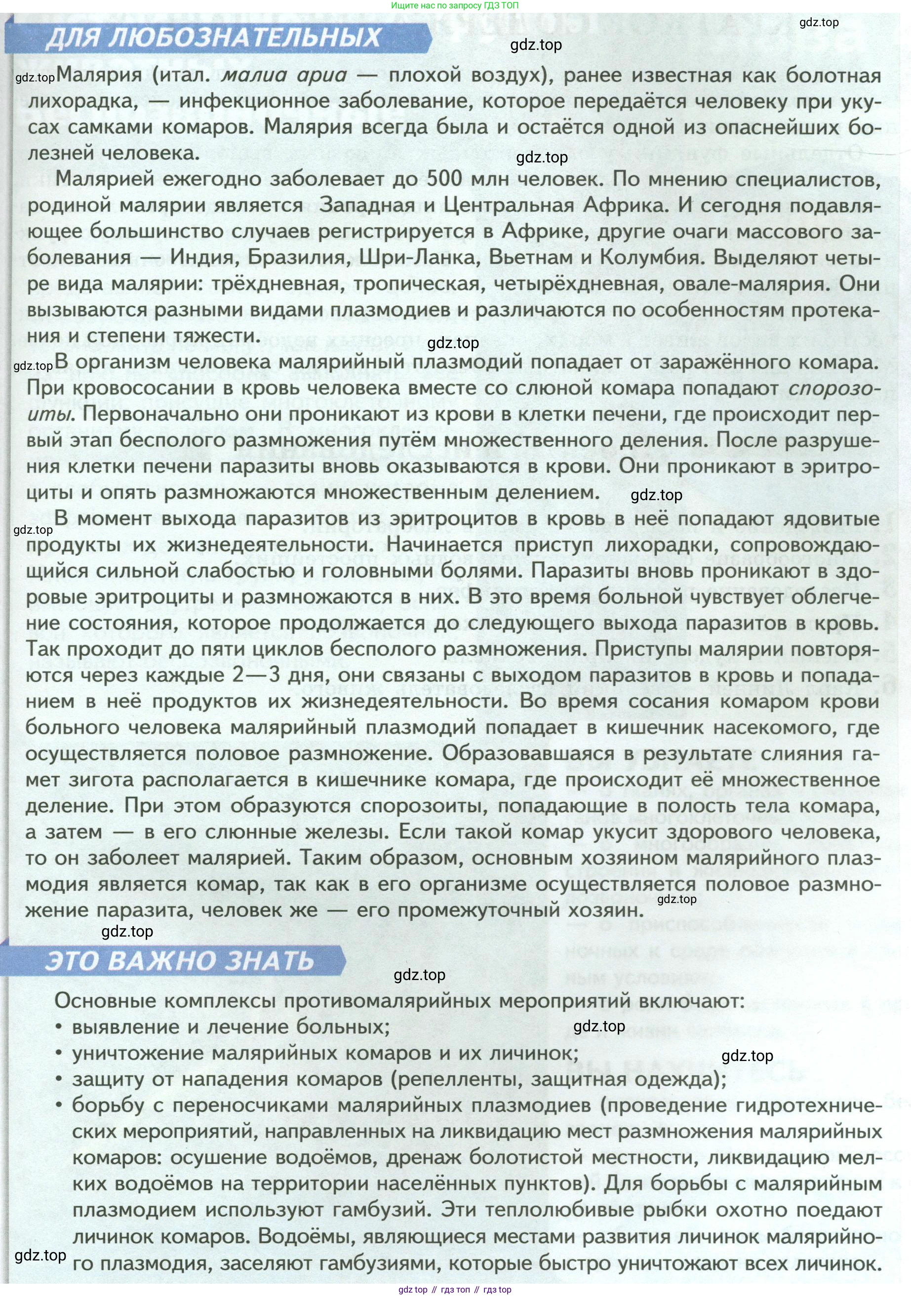 Биология, 8 класс Учебник, авторы: Пасечник Владимир Васильевич, Суматохин Сергей Витальевич, Гапонюк Зоя Георгиевна, издательство Просвещение, Москва, 2023, белого цвета, страница 74, Условие (продолжение 2)