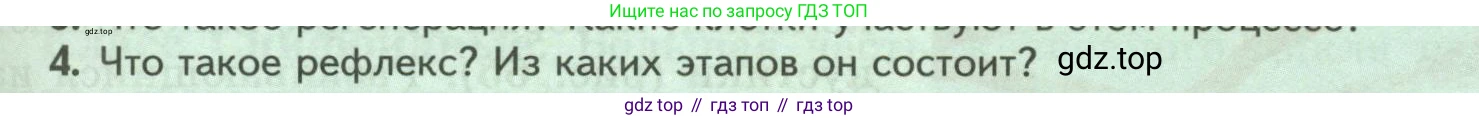 Биология, 8 класс Учебник, авторы: Пасечник Владимир Васильевич, Суматохин Сергей Витальевич, Гапонюк Зоя Георгиевна, издательство Просвещение, Москва, 2023, белого цвета, страница 81, номер 4, Условие