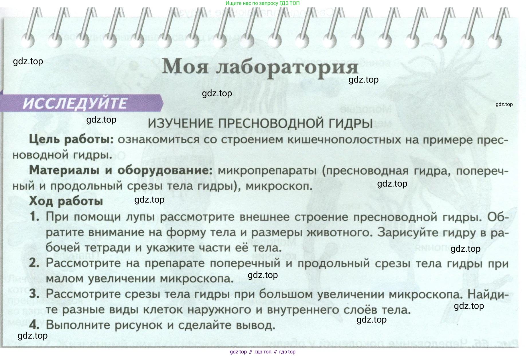 Биология, 8 класс Учебник, авторы: Пасечник Владимир Васильевич, Суматохин Сергей Витальевич, Гапонюк Зоя Георгиевна, издательство Просвещение, Москва, 2023, белого цвета, страница 81, Условие
