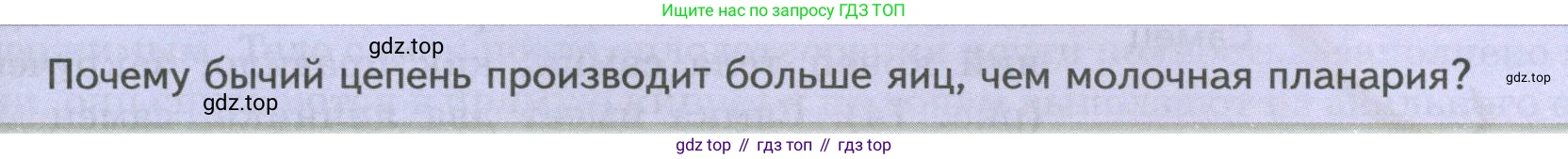 ГДЗ Биология, 8 класс Учебник, авторы: Пасечник Владимир Васильевич, Суматохин Сергей Витальевич, Гапонюк Зоя Георгиевна, издательство Просвещение, Москва, 2023, белого цвета, страница 89, Условие