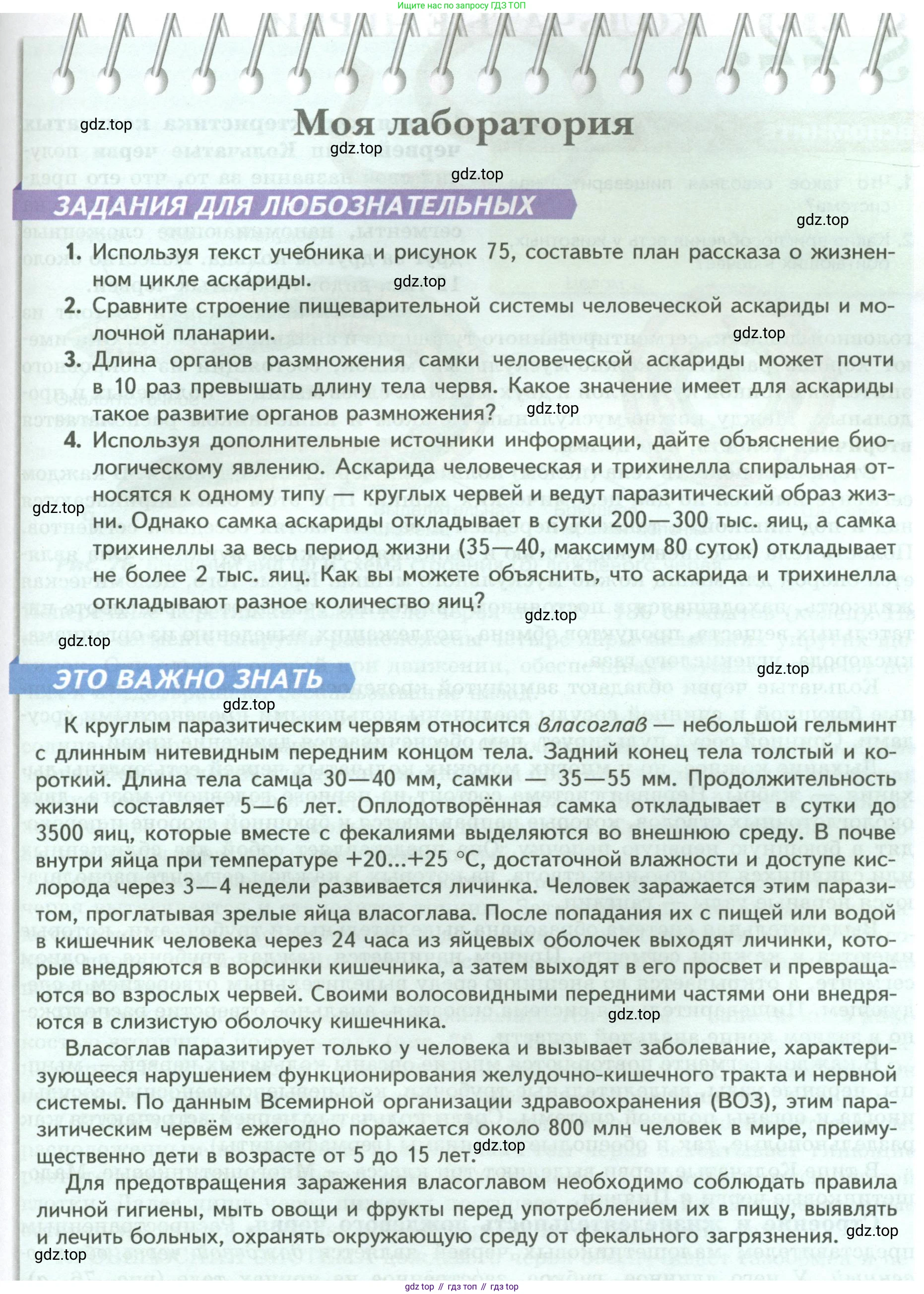 ГДЗ Биология, 8 класс Учебник, авторы: Пасечник Владимир Васильевич, Суматохин Сергей Витальевич, Гапонюк Зоя Георгиевна, издательство Просвещение, Москва, 2023, белого цвета, страница 93, Условие