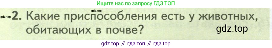 Биология, 8 класс Учебник, авторы: Пасечник Владимир Васильевич, Суматохин Сергей Витальевич, Гапонюк Зоя Георгиевна, издательство Просвещение, Москва, 2023, белого цвета, страница 94, номер 2, Условие
