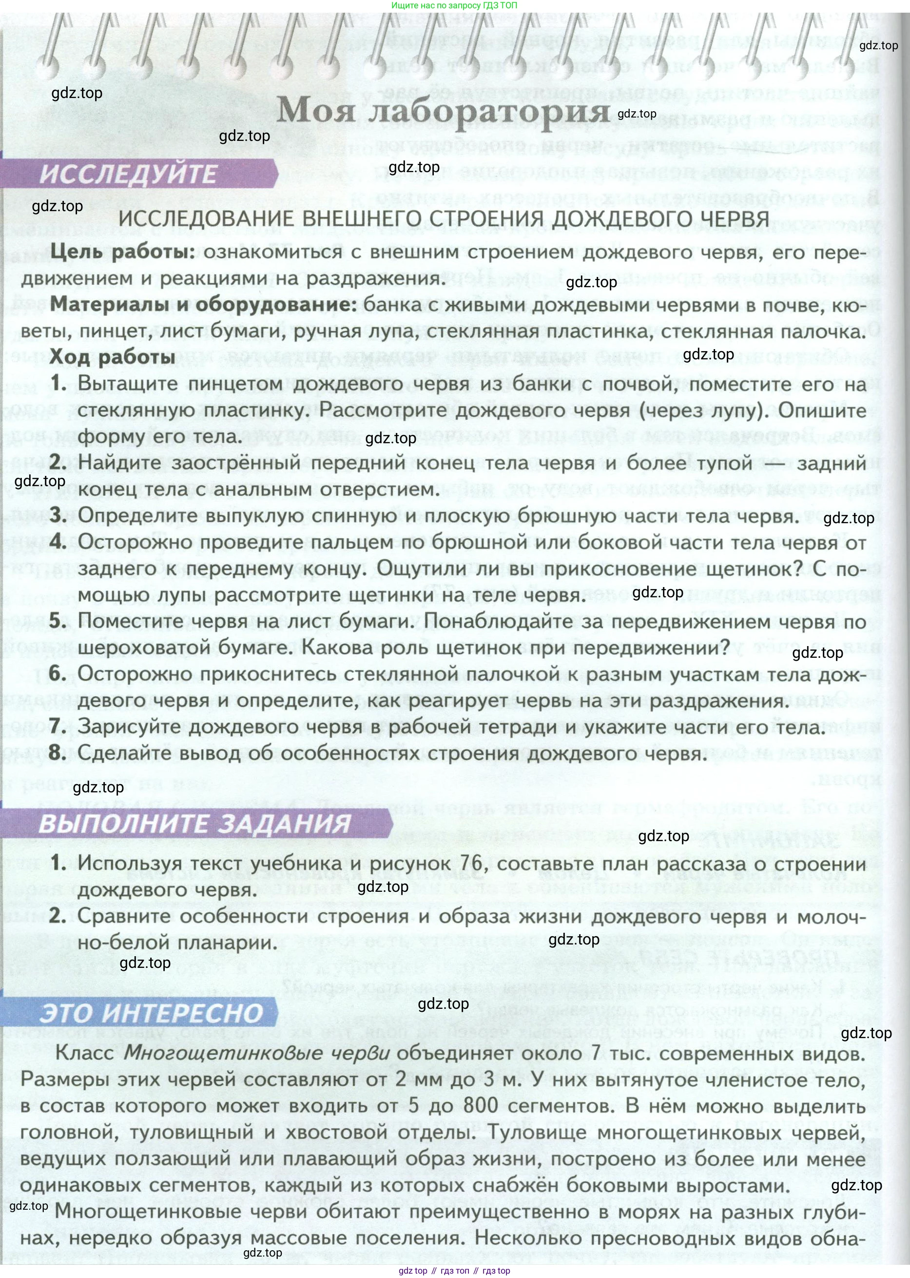 ГДЗ Биология, 8 класс Учебник, авторы: Пасечник Владимир Васильевич, Суматохин Сергей Витальевич, Гапонюк Зоя Георгиевна, издательство Просвещение, Москва, 2023, белого цвета, страница 98, Условие