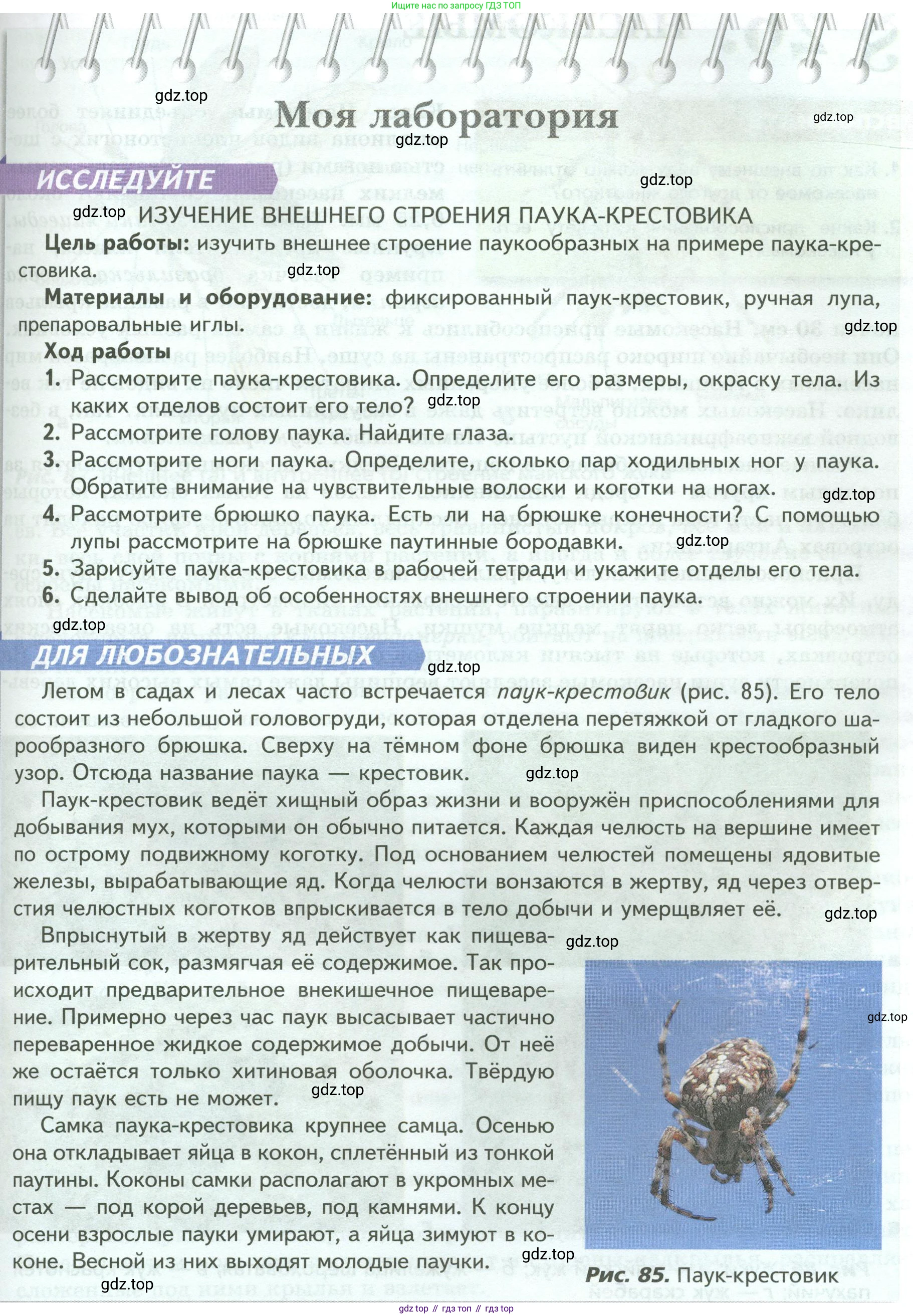 ГДЗ Биология, 8 класс Учебник, авторы: Пасечник Владимир Васильевич, Суматохин Сергей Витальевич, Гапонюк Зоя Георгиевна, издательство Просвещение, Москва, 2023, белого цвета, страница 111, Условие