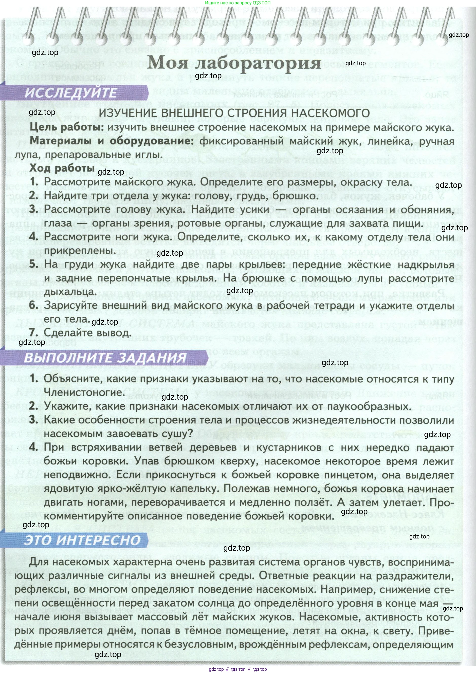 ГДЗ Биология, 8 класс Учебник, авторы: Пасечник Владимир Васильевич, Суматохин Сергей Витальевич, Гапонюк Зоя Георгиевна, издательство Просвещение, Москва, 2023, белого цвета, страница 116, Условие