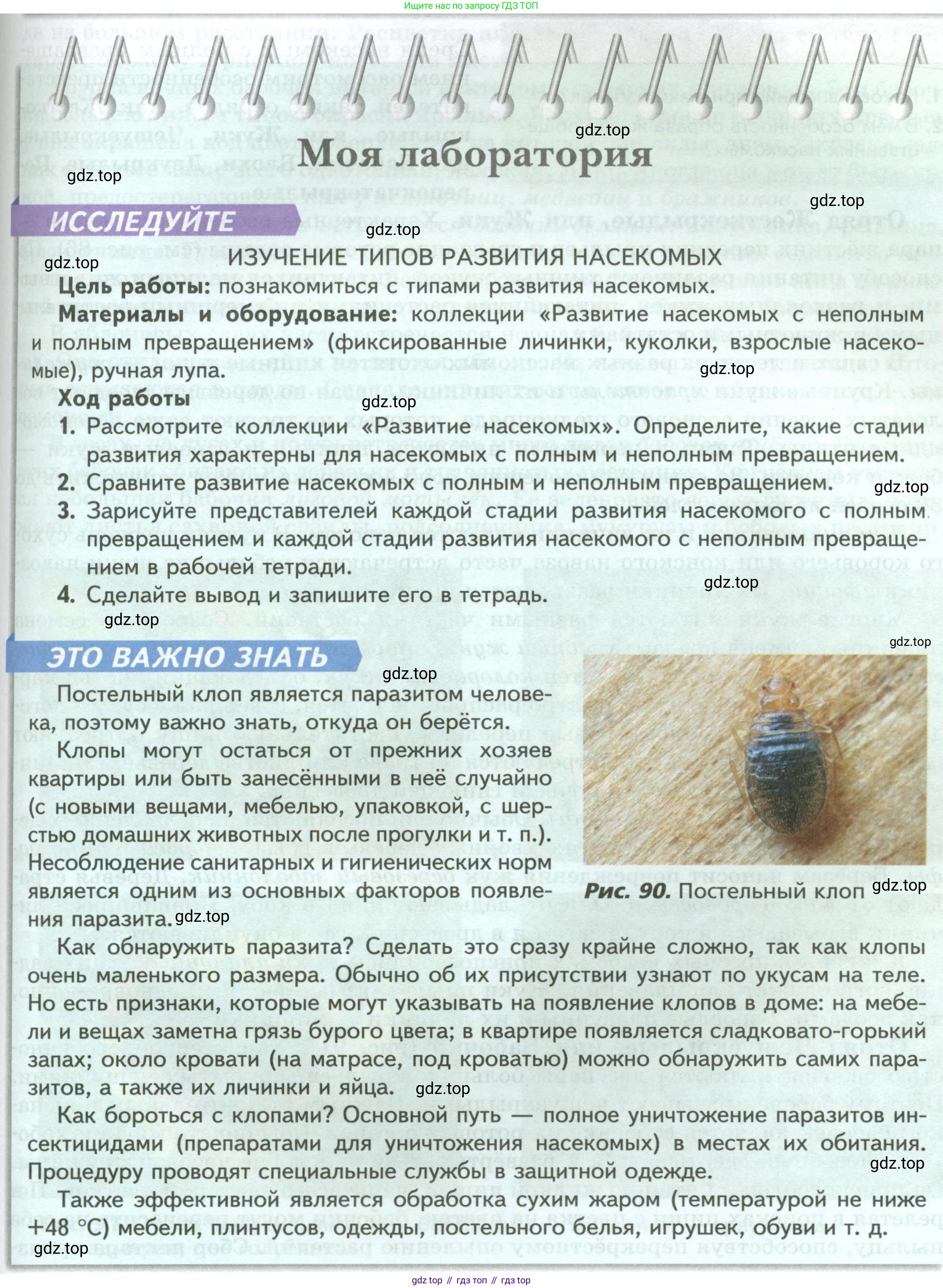 ГДЗ Биология, 8 класс Учебник, авторы: Пасечник Владимир Васильевич, Суматохин Сергей Витальевич, Гапонюк Зоя Георгиевна, издательство Просвещение, Москва, 2023, белого цвета, страница 121, Условие