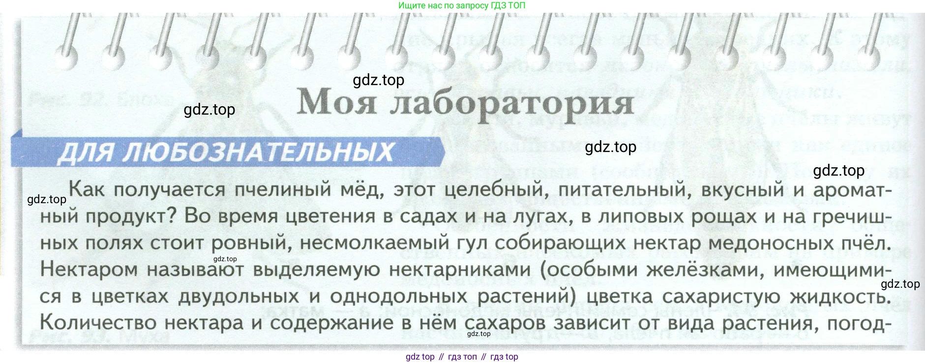 Биология, 8 класс Учебник, авторы: Пасечник Владимир Васильевич, Суматохин Сергей Витальевич, Гапонюк Зоя Георгиевна, издательство Просвещение, Москва, 2023, белого цвета, страница 126, Условие