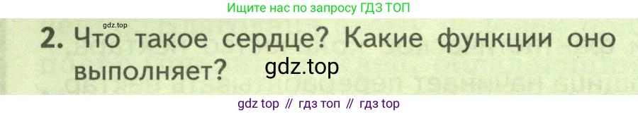 Биология, 8 класс Учебник, авторы: Пасечник Владимир Васильевич, Суматохин Сергей Витальевич, Гапонюк Зоя Георгиевна, издательство Просвещение, Москва, 2023, белого цвета, страница 128, номер 2, Условие