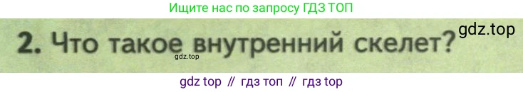 Биология, 8 класс Учебник, авторы: Пасечник Владимир Васильевич, Суматохин Сергей Витальевич, Гапонюк Зоя Георгиевна, издательство Просвещение, Москва, 2023, белого цвета, страница 140, номер 2, Условие